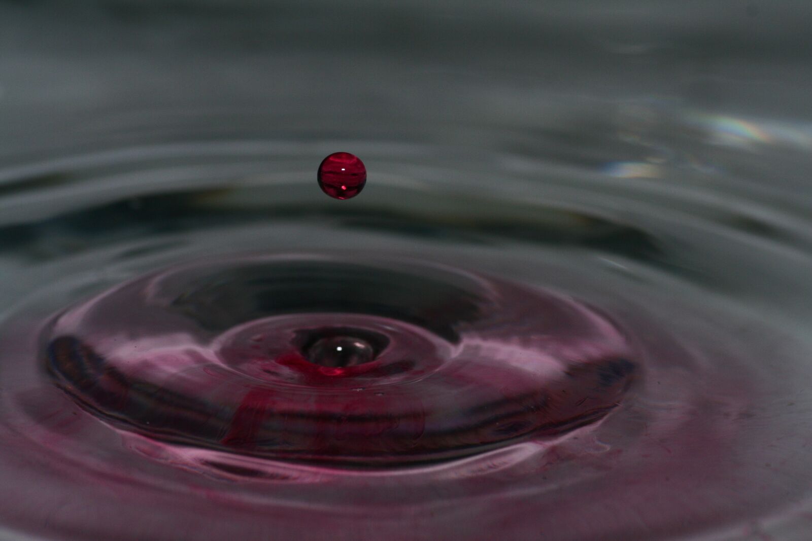 Canon EOS 350D (EOS Digital Rebel XT / EOS Kiss Digital N) sample photo. Drip, red, water photography