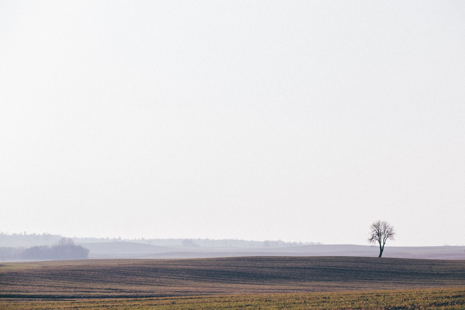 Canon EF 85mm F1.8 USM sample photo. Nature, alone, autumn photography