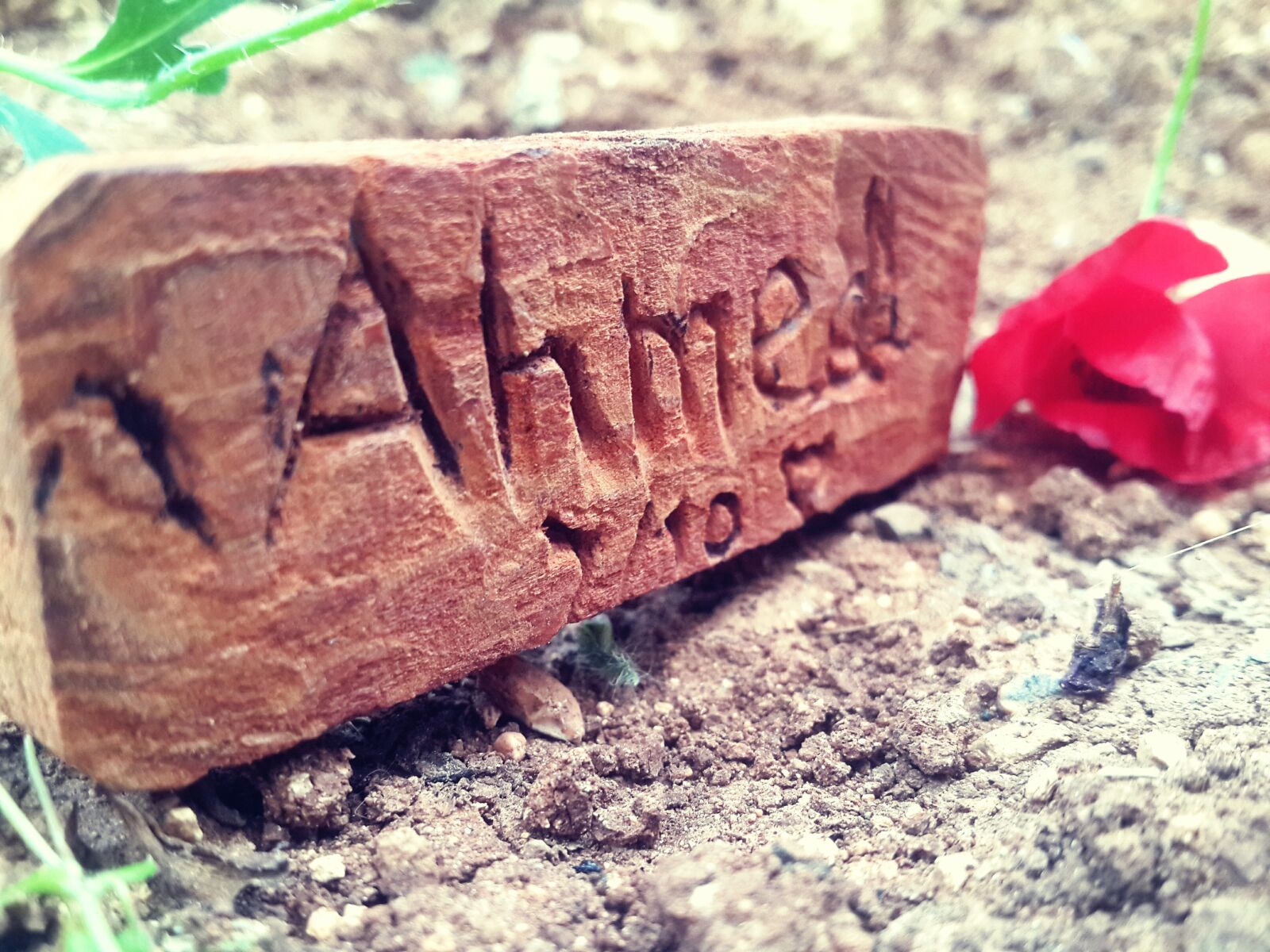 Samsung Galaxy S4 sample photo. Ahmed, abu, hameeda photography