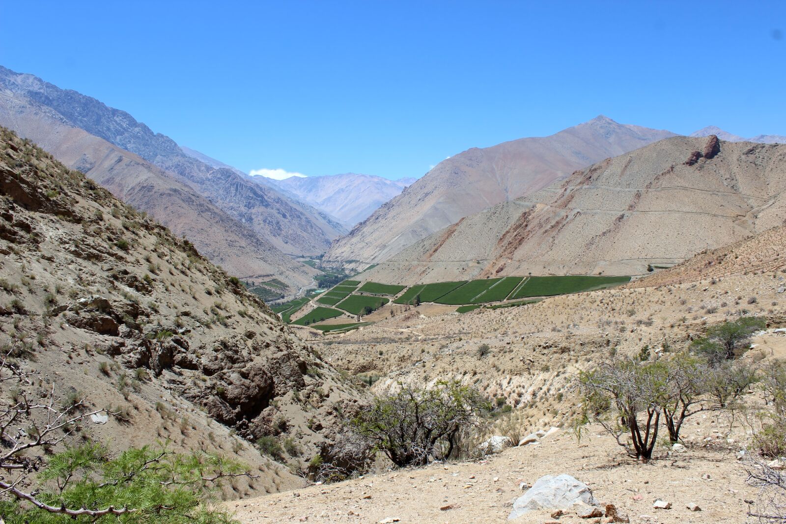 Canon EOS 600D (Rebel EOS T3i / EOS Kiss X5) sample photo. Mountain, chile, elqui photography