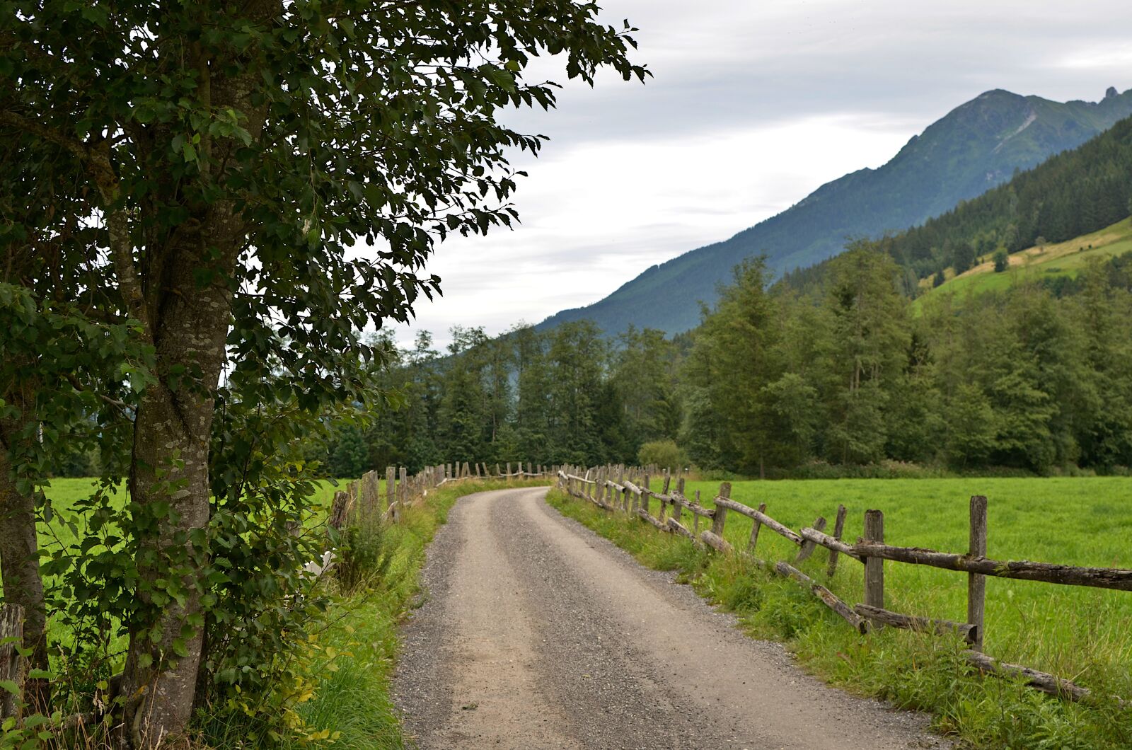 Nikon D7000 sample photo. Way, trail, mountains photography