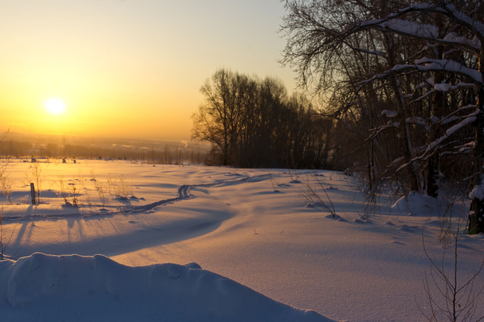 Sony Alpha DSLR-A850 sample photo. Winter, nature, dawn photography