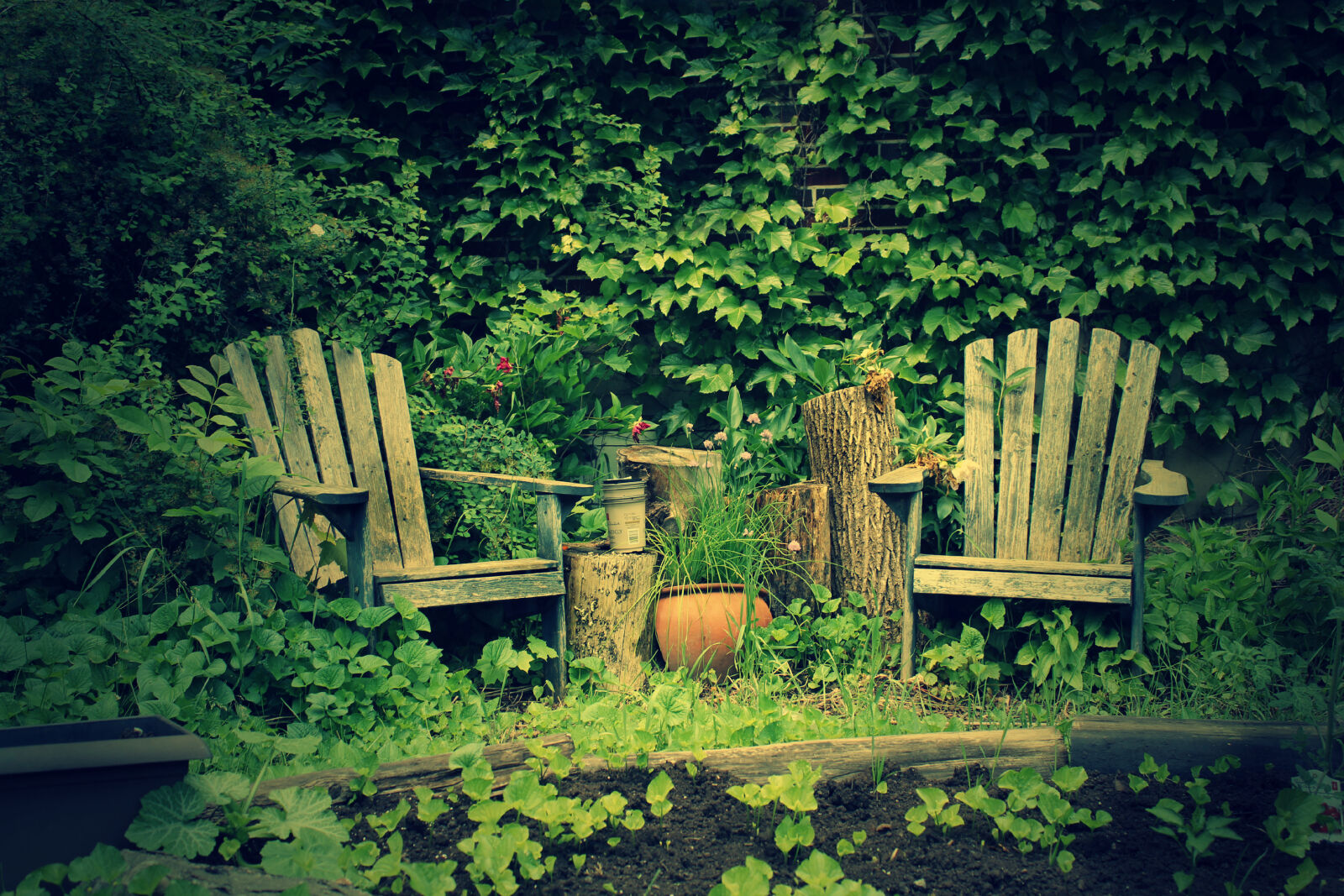 Canon EOS 550D (EOS Rebel T2i / EOS Kiss X4) sample photo. Eclectic, garden, muskoka, chairs photography