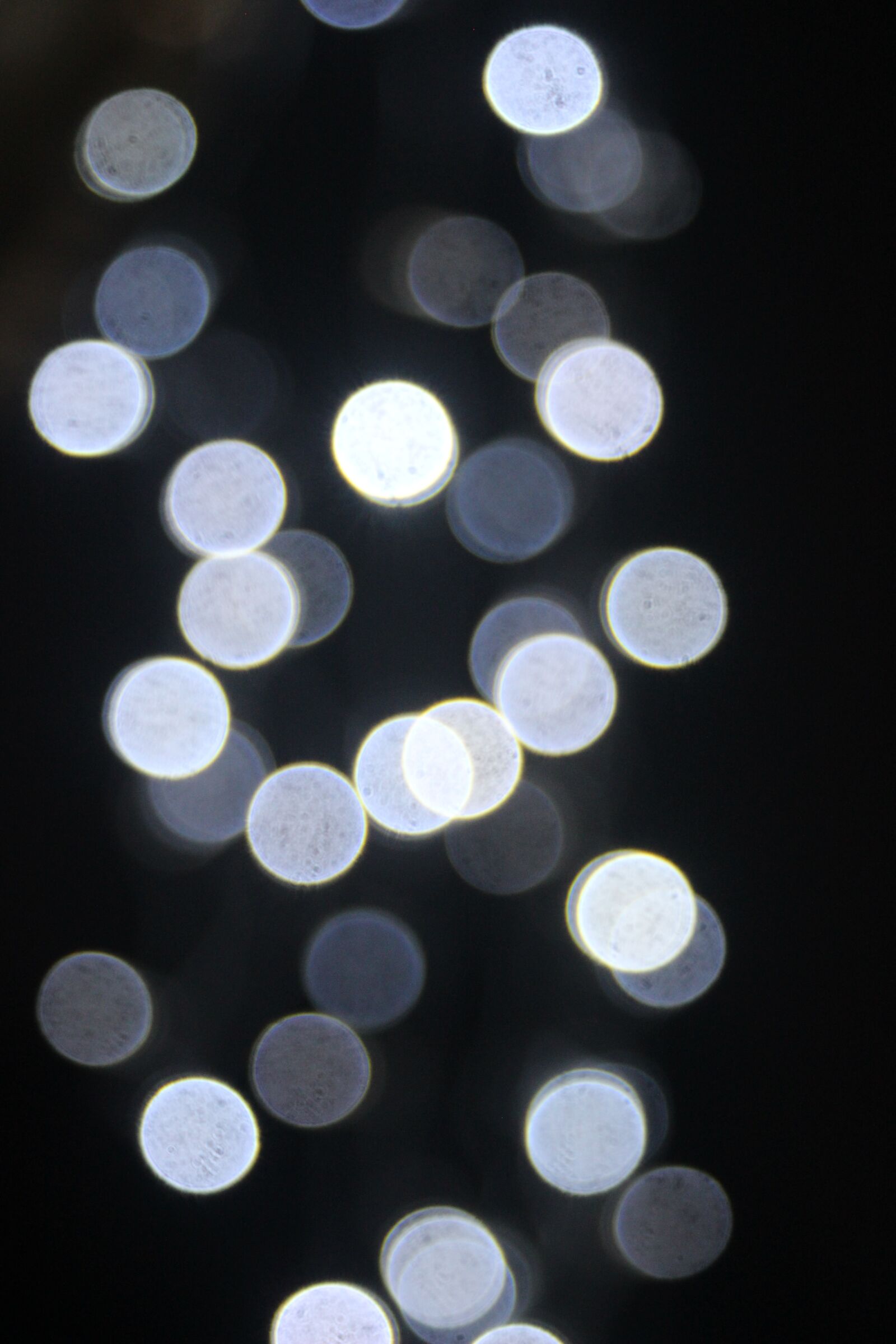Canon EF 28-80mm f/3.5-5.6 sample photo. Wallpaper, no person, round photography