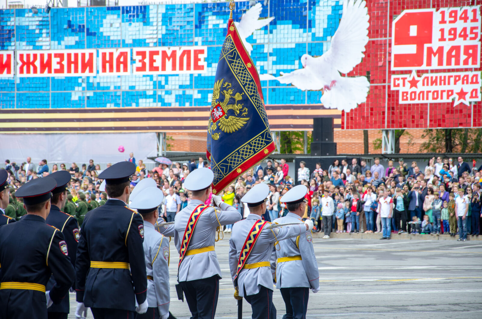 Nikon D5100 sample photo