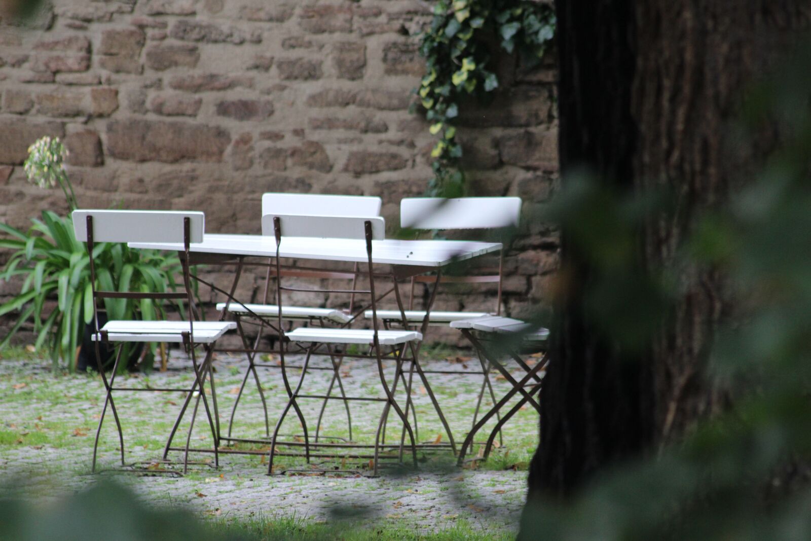 Canon EOS 600D (Rebel EOS T3i / EOS Kiss X5) sample photo. Park, garden, chairs photography