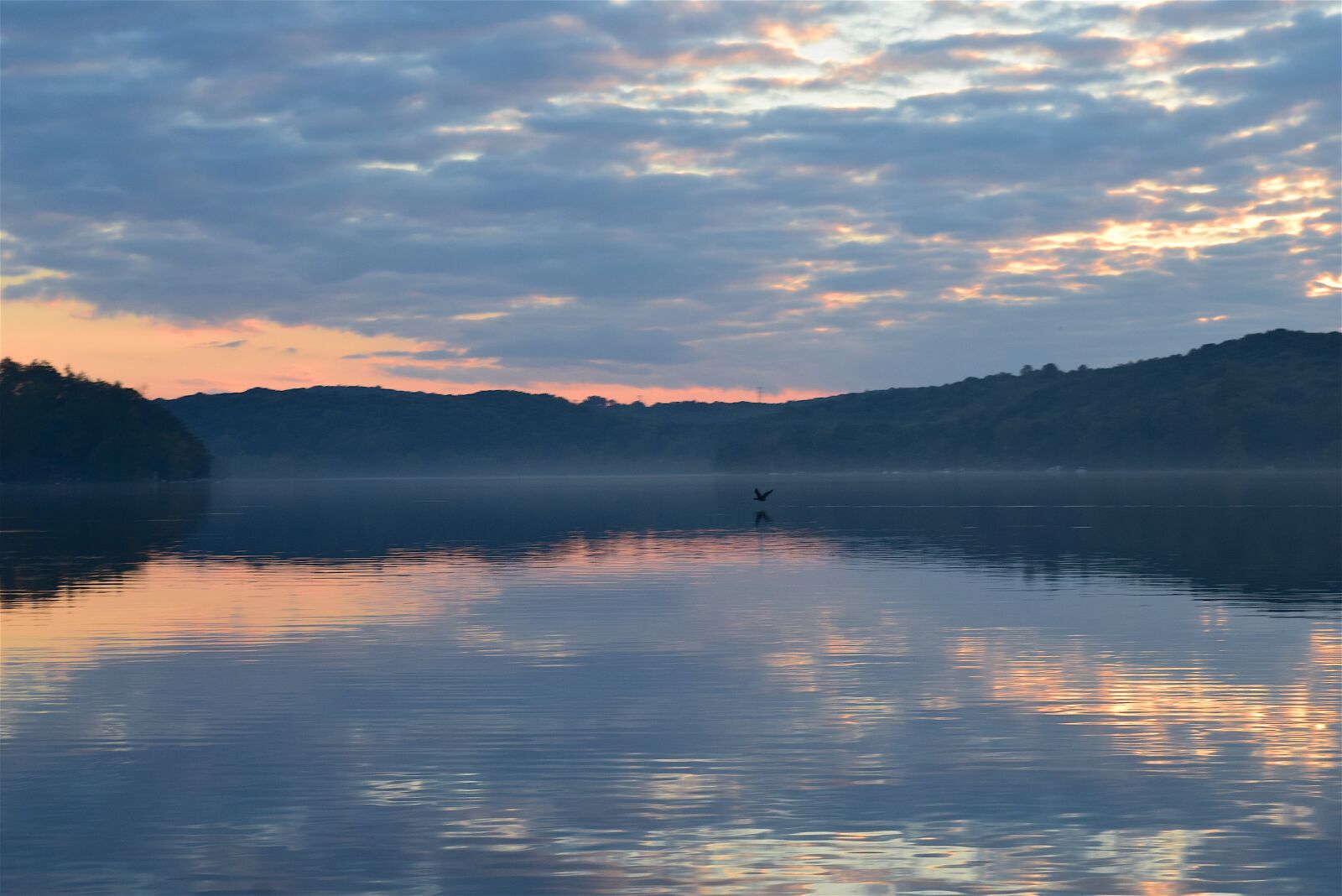 Nikon D3300 sample photo. Lake, sunset, bird photography