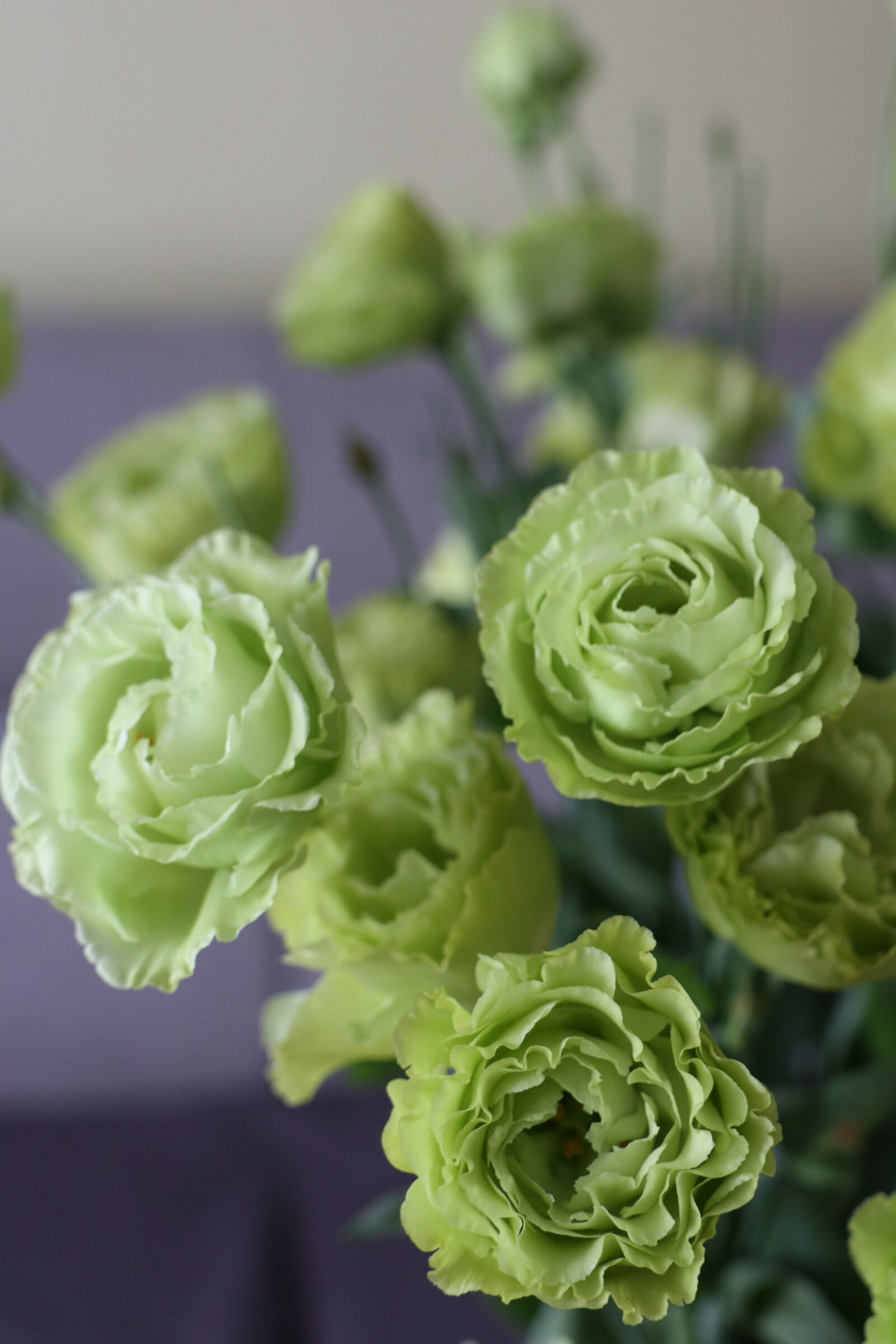 Canon EOS M6 sample photo. Flowers, bouquet, the petals photography