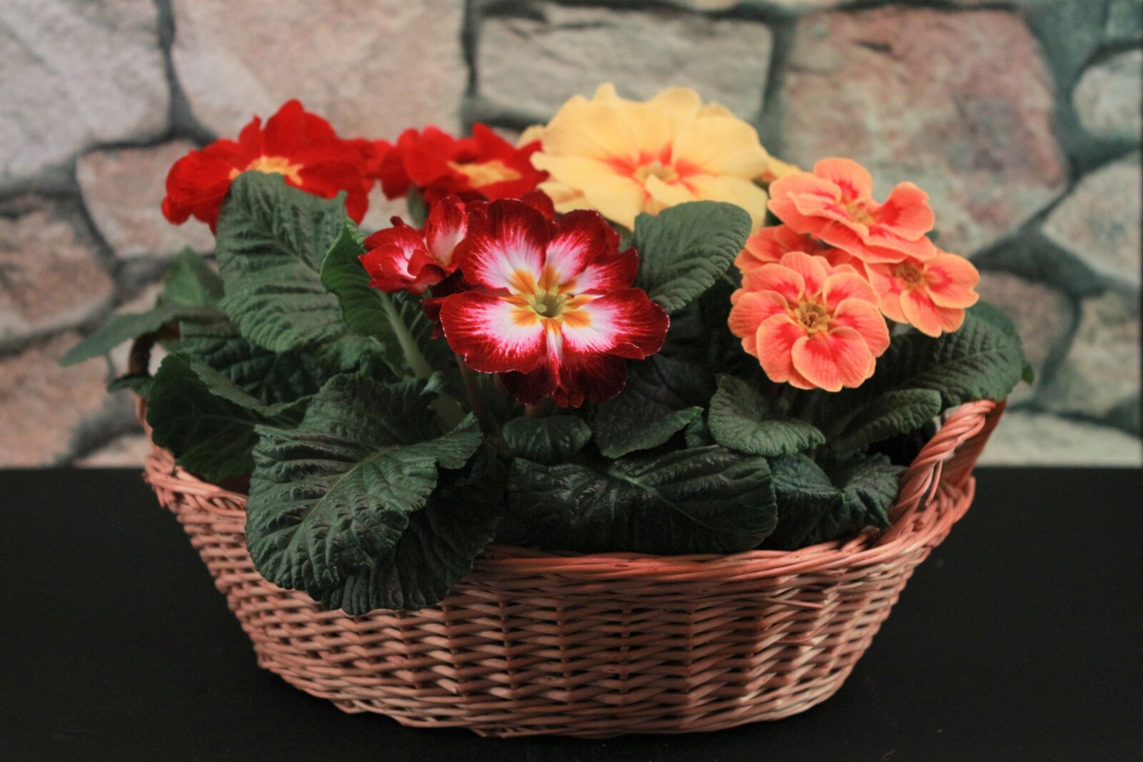 Canon EF-S 18-55mm F3.5-5.6 IS sample photo. Flowers, colorful, basket photography