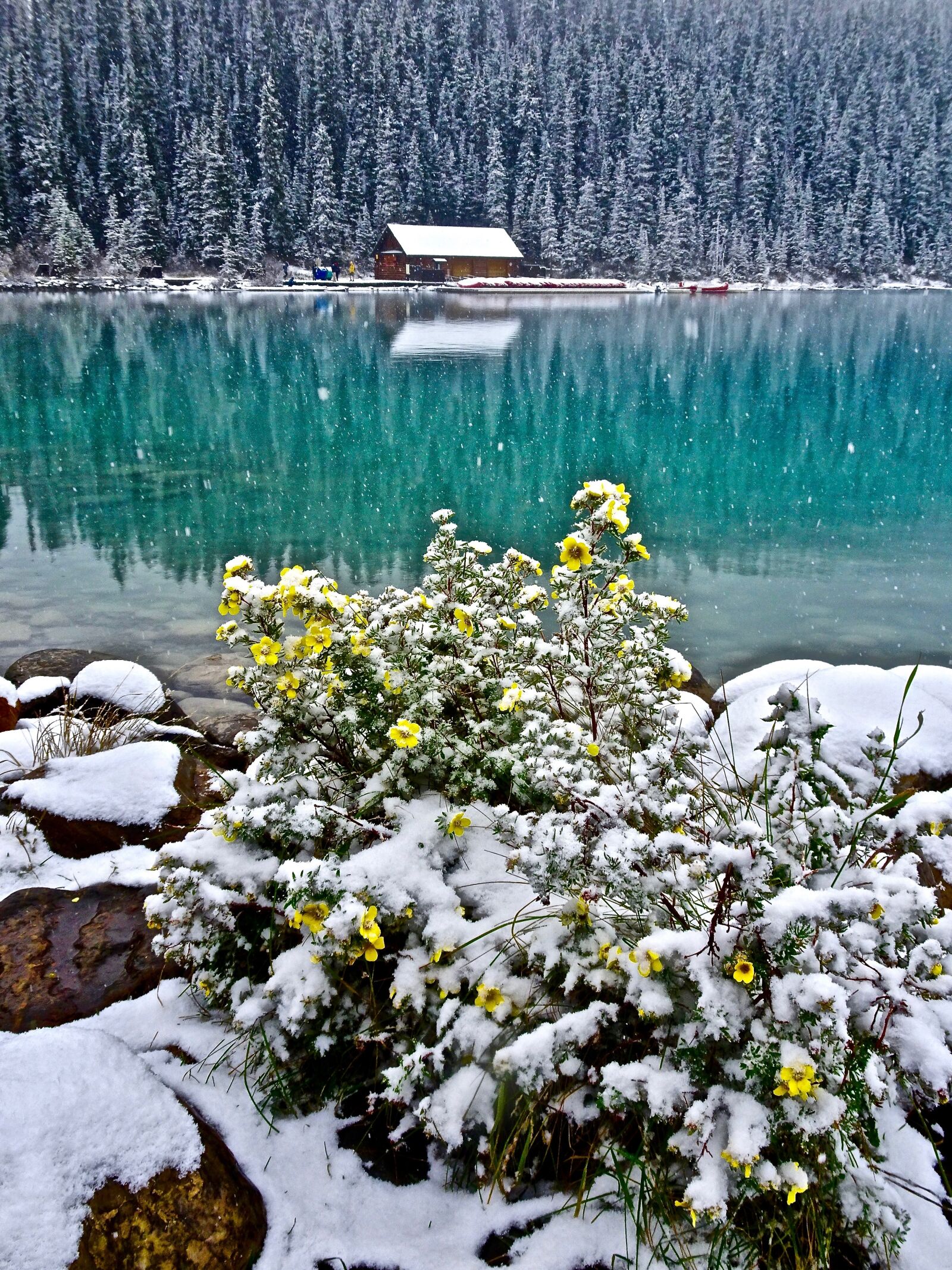 Sony Cyber-shot DSC-HX90V sample photo. Cabin, lake, water photography