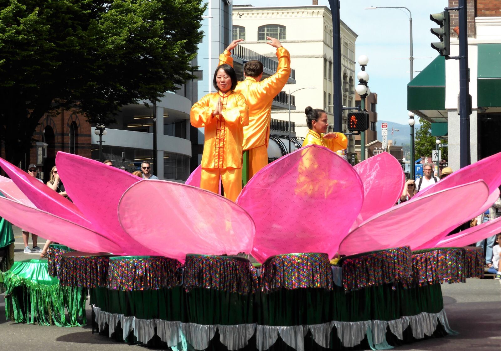 Panasonic Lumix DMC-ZS30 (Lumix DMC-TZ40) sample photo. Lotus flower, parade, fairy photography