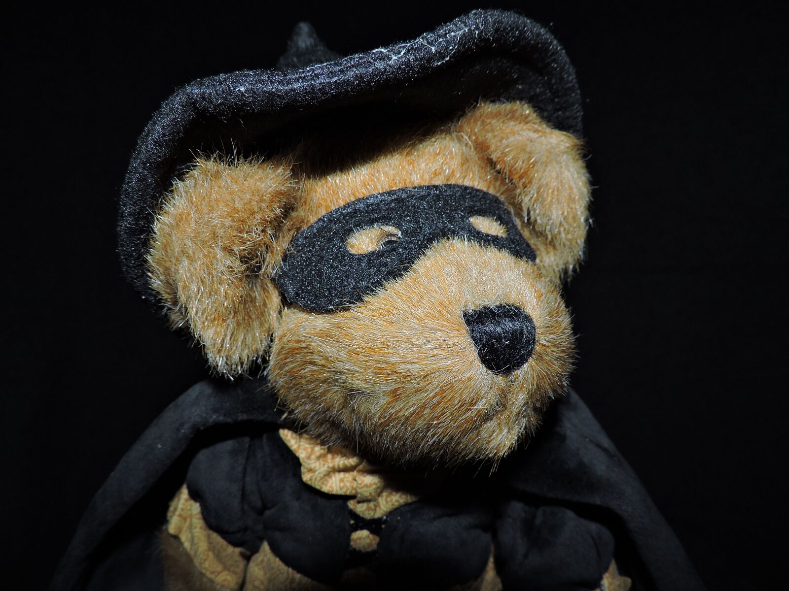 Nikon Coolpix P530 sample photo. Bear, stuffed animal, witch photography