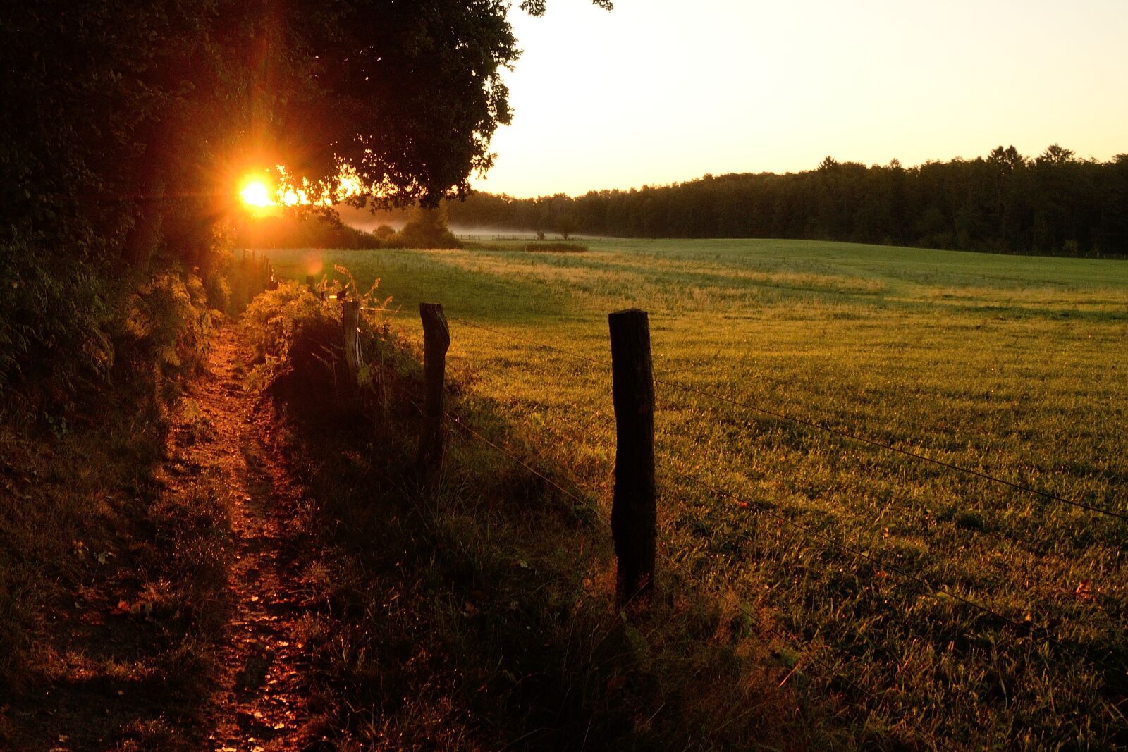 Nikon D7000 sample photo. Duvenstedter brook, sunrise, morgenstimmung photography