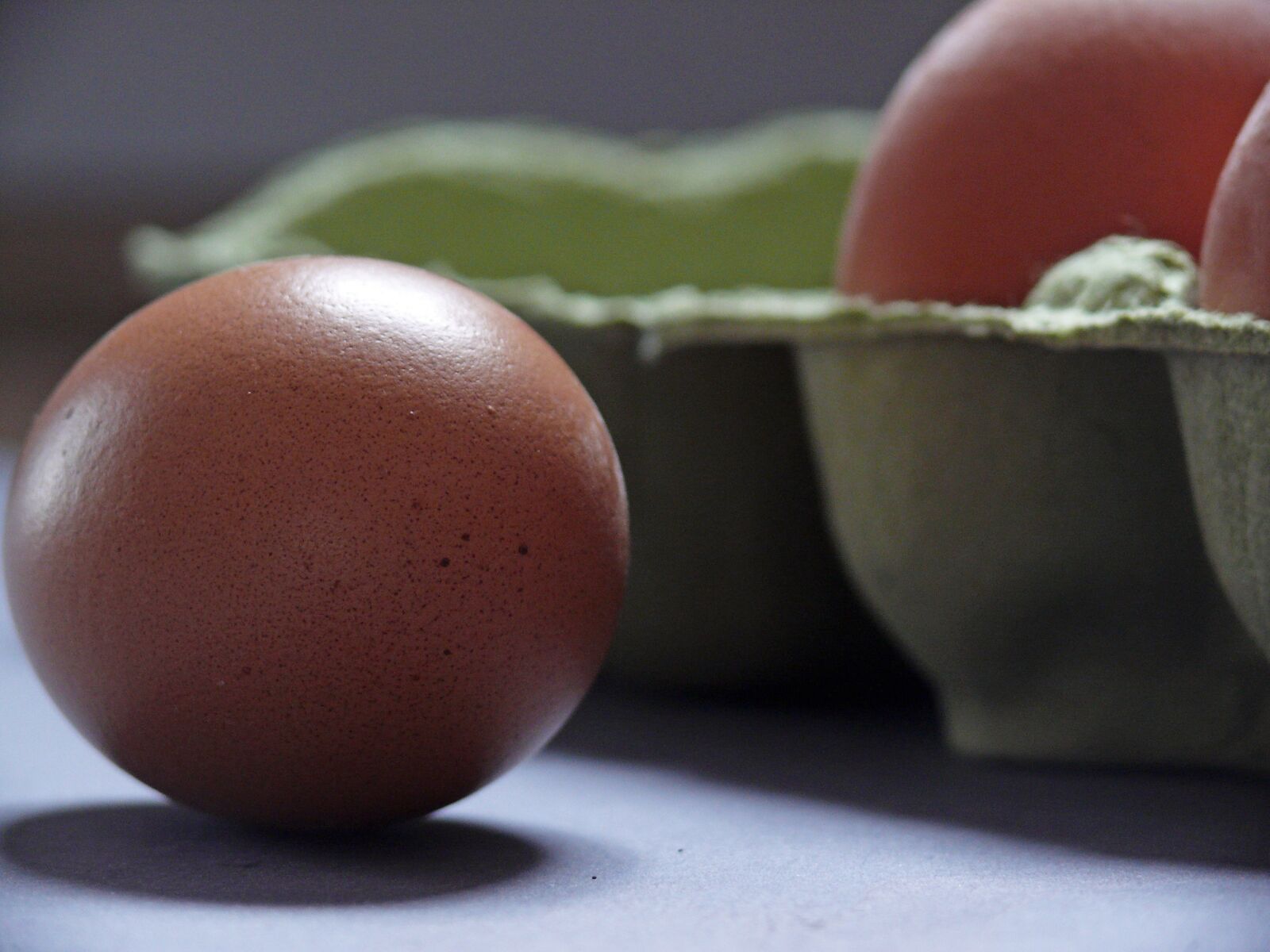 Leica V-LUX 1 sample photo. Egg, egg carton, chicken photography