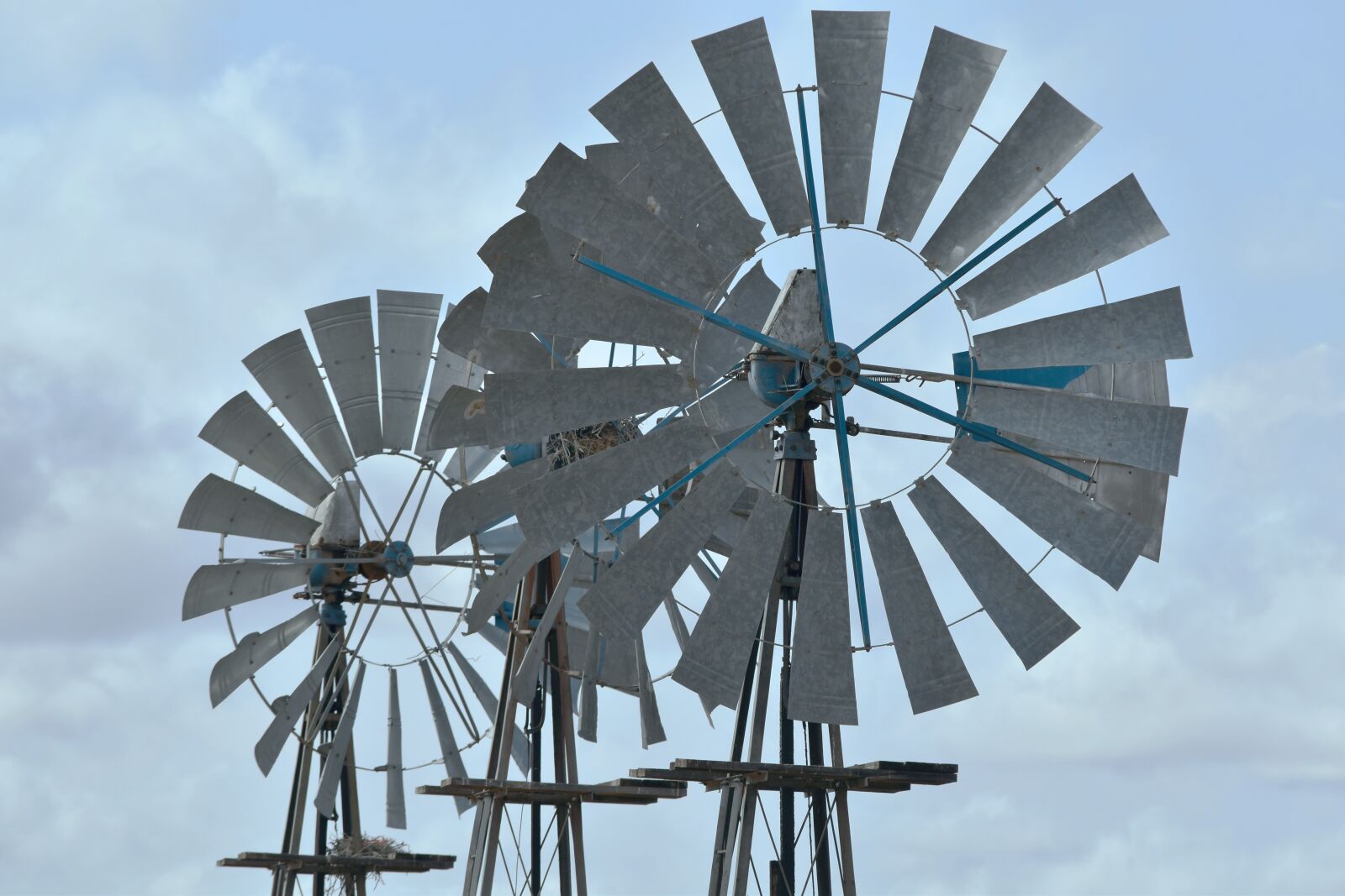 Nikon D5500 sample photo. Windmills, karoo, south africa photography