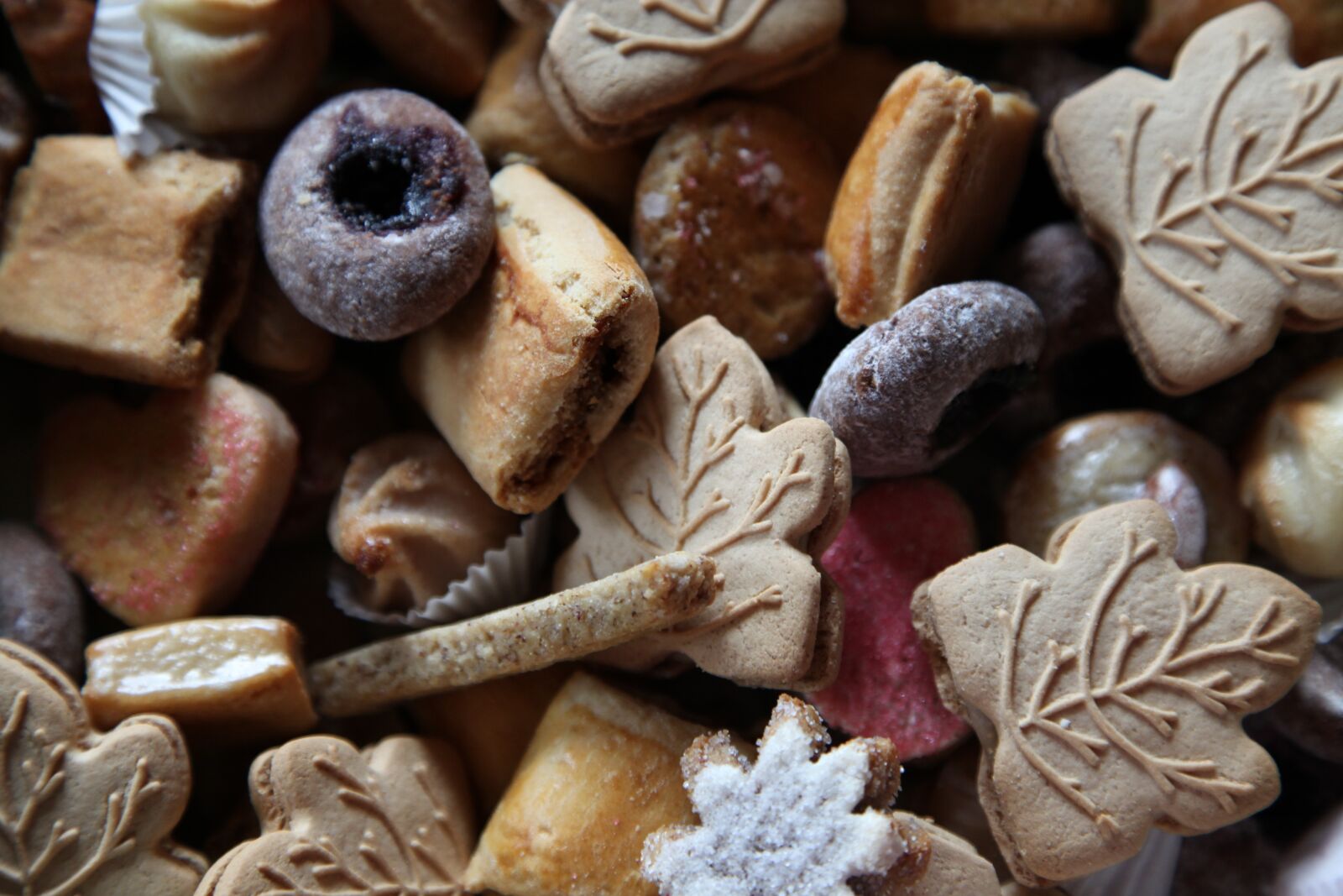 Canon EOS 5D Mark II sample photo. Christmas, cake, cookie photography