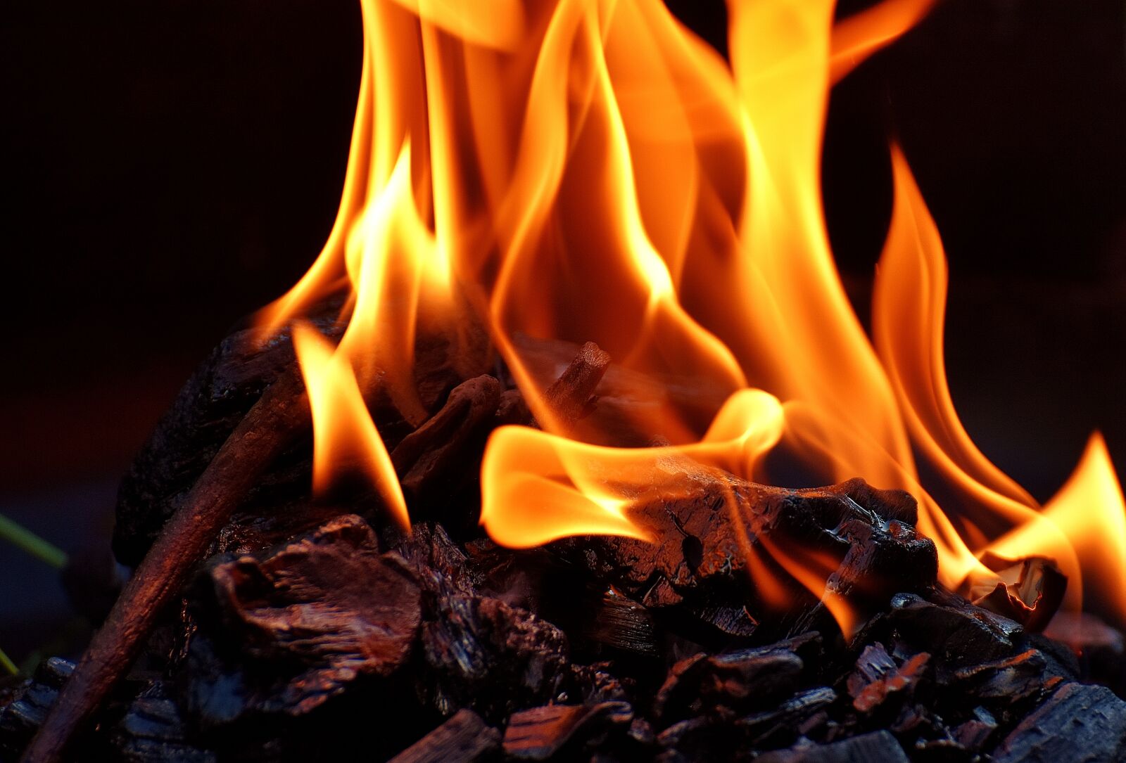 Nikon D7200 sample photo. Fire, flame, carbon photography