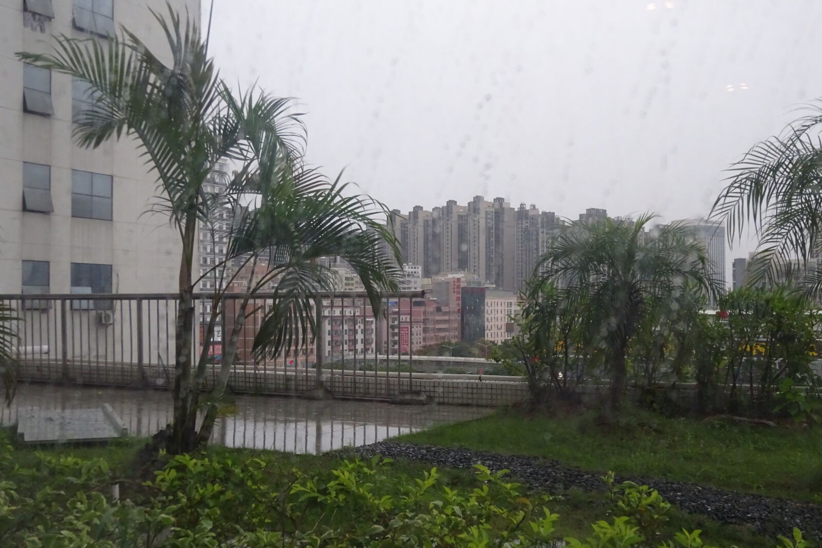 Sony Cyber-shot DSC-WX350 sample photo