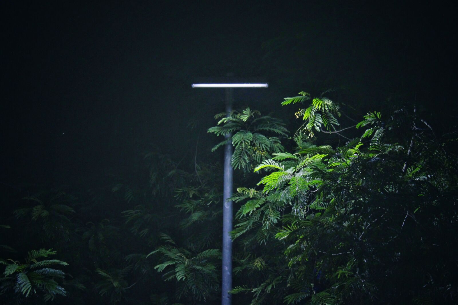 Canon EOS 700D (EOS Rebel T5i / EOS Kiss X7i) sample photo. Street, lights photography
