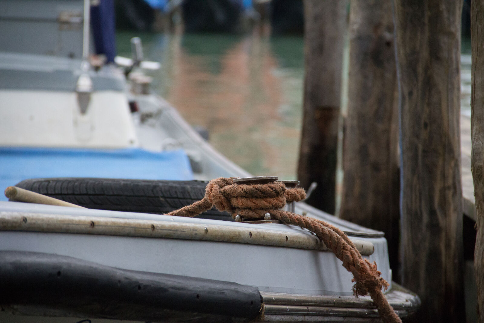 Canon EOS 60D sample photo