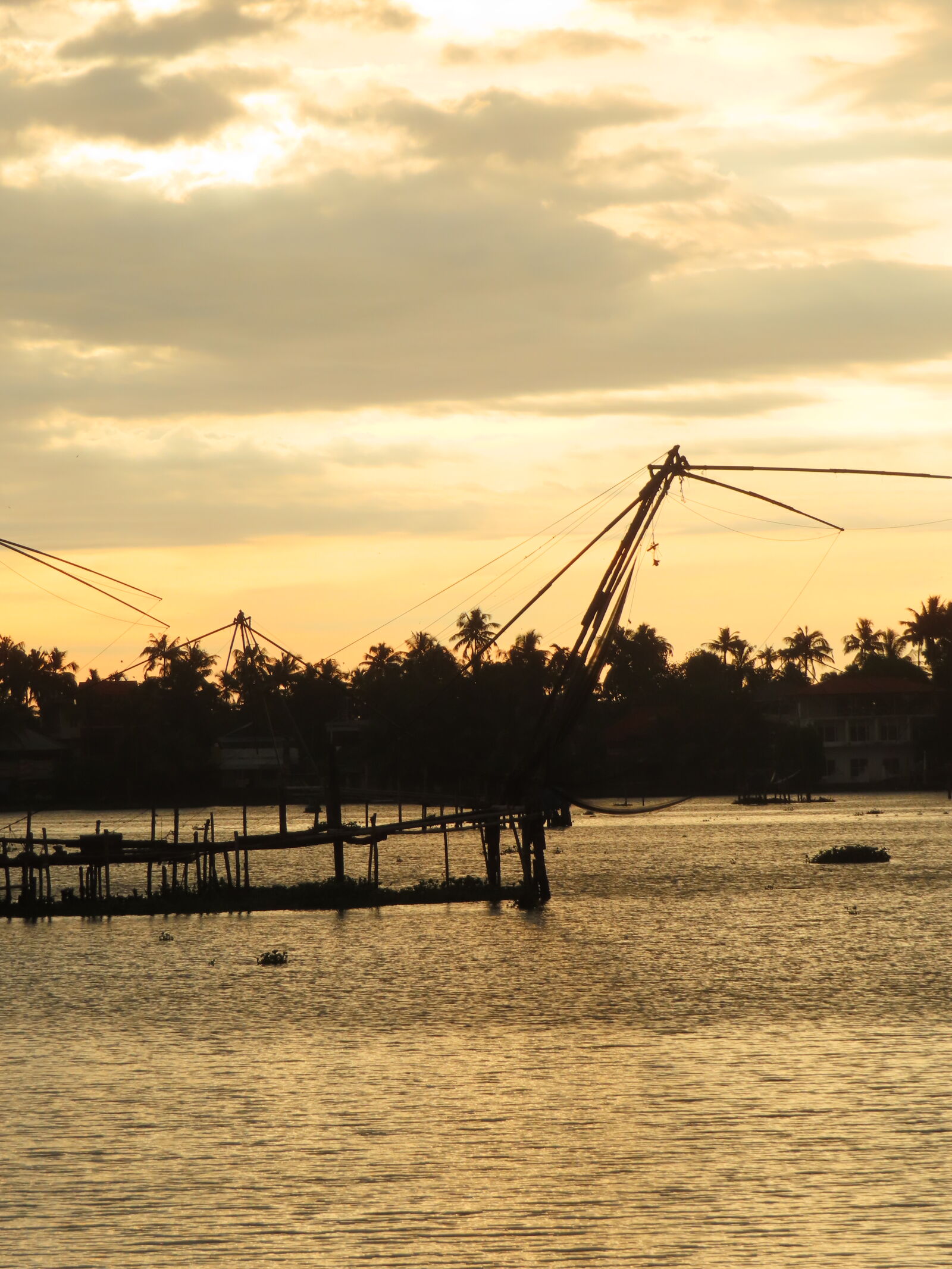 Canon PowerShot SX740 HS sample photo