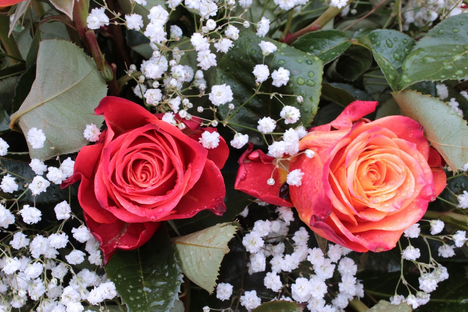 Canon EOS 650D (EOS Rebel T4i / EOS Kiss X6i) sample photo. Bouquet, roses, gypsophila photography
