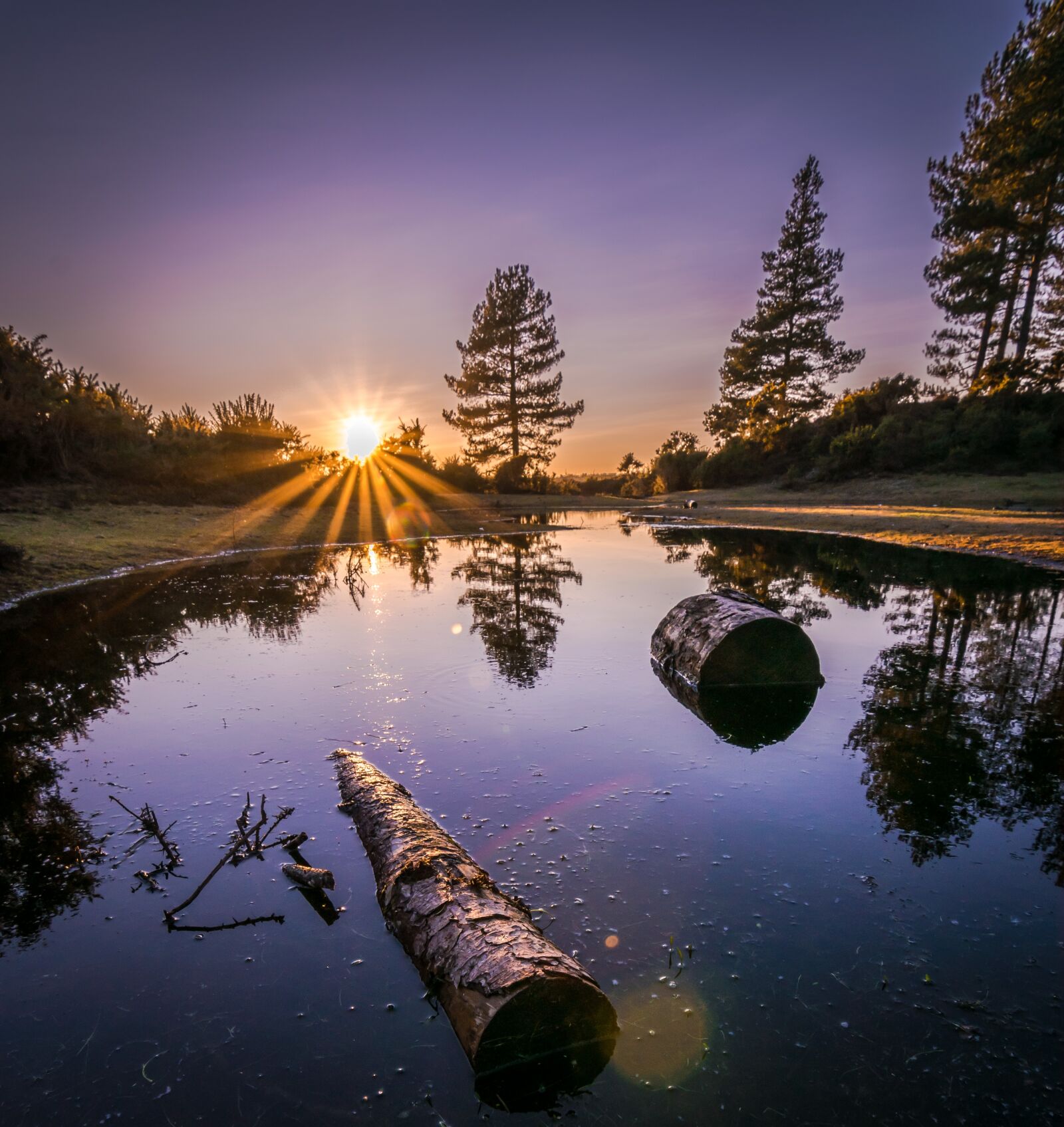 Tokina AT-X Pro 11-16mm F2.8 DX II sample photo. Forest, sunset, nature photography