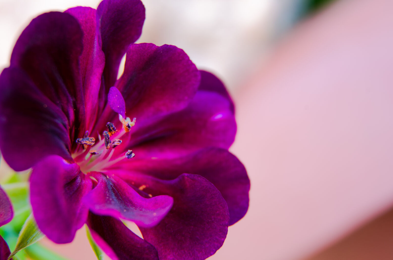 Nikon D5100 sample photo