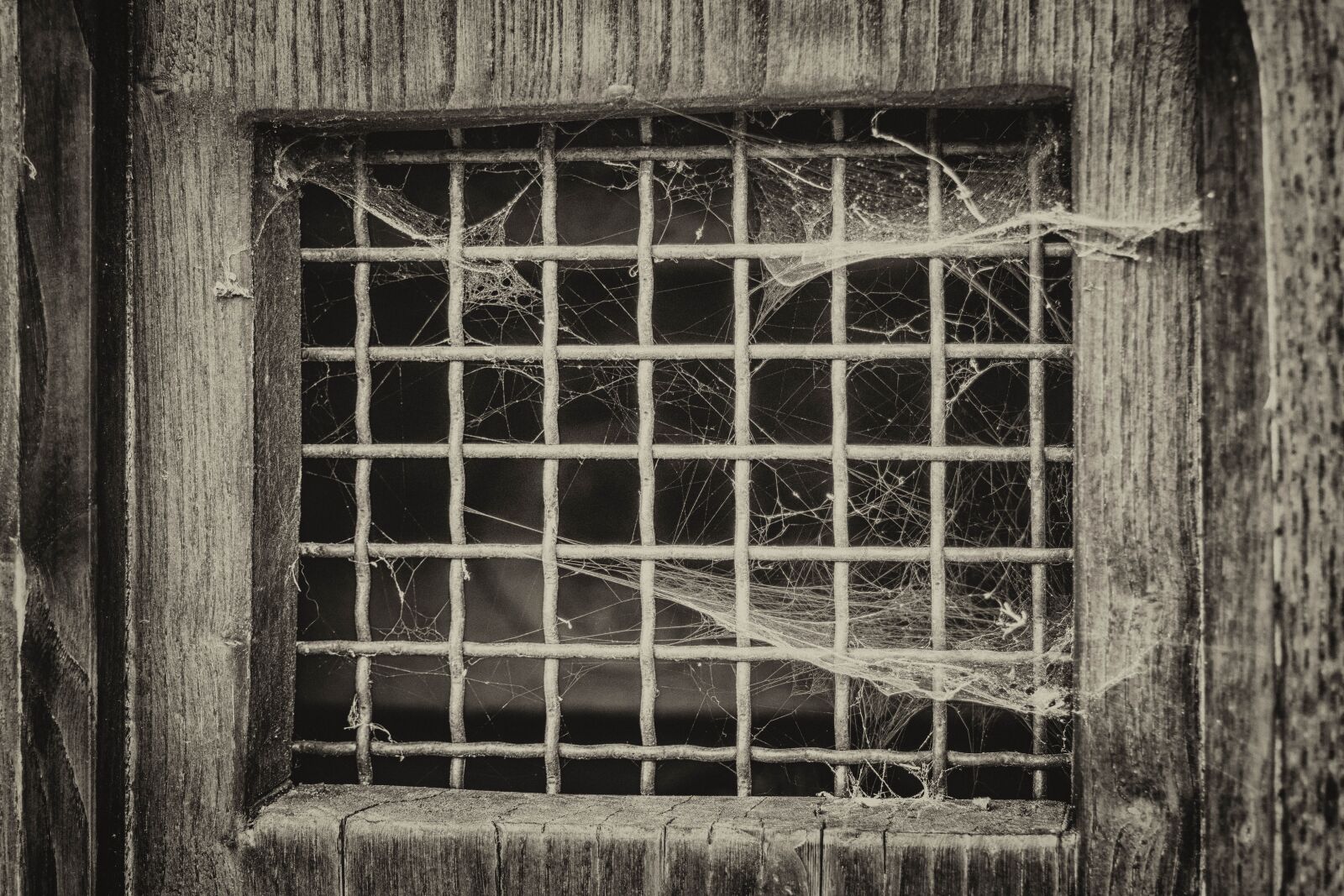 Nikon D3300 sample photo. Window, grid, door photography