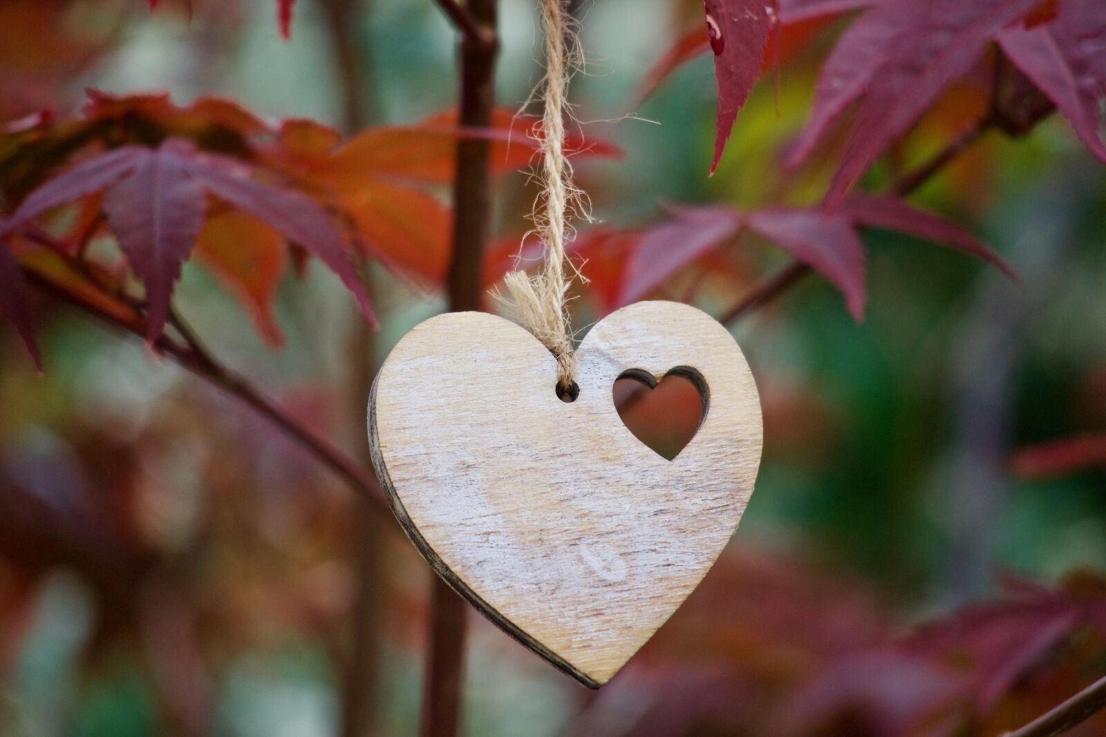 Canon EOS M sample photo. Heart, love, romance photography