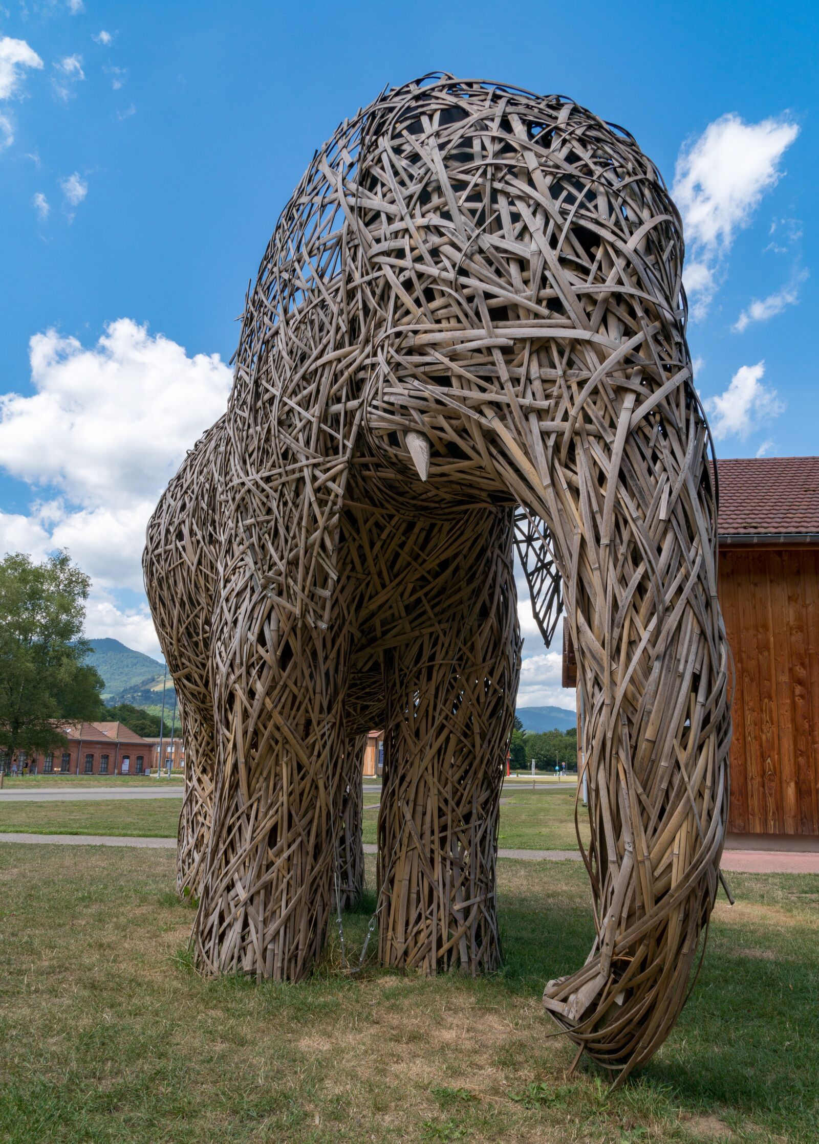 Sony a6500 + Sony Vario-Tessar T* E 16-70mm F4 ZA OSS sample photo. Elephant, bamboo, animals photography