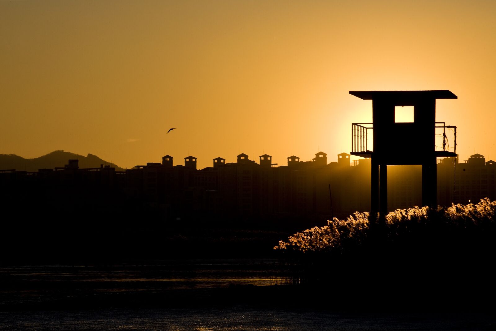 Canon EOS 5D sample photo. Sunset, silhouette, glow photography