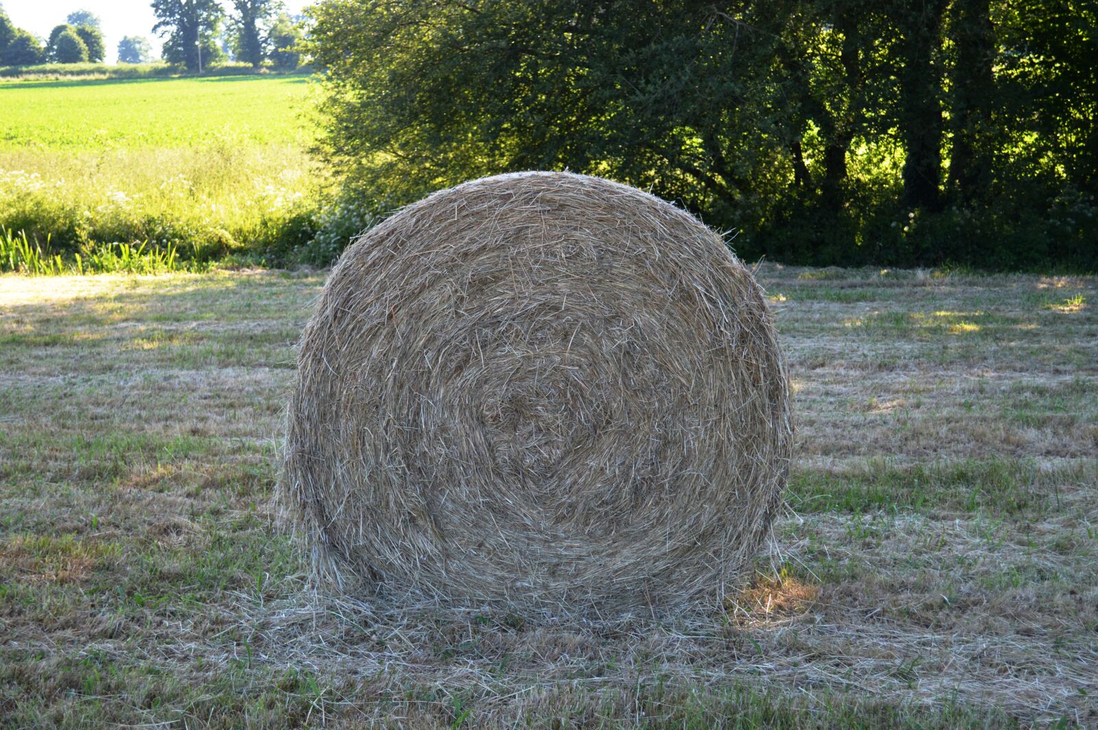 Nikon D3200 sample photo. Straw, roller, harvest photography