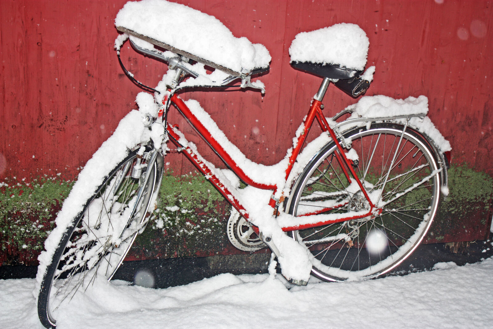Canon EOS 450D (EOS Rebel XSi / EOS Kiss X2) sample photo. Bicycle, bike, cold, park photography
