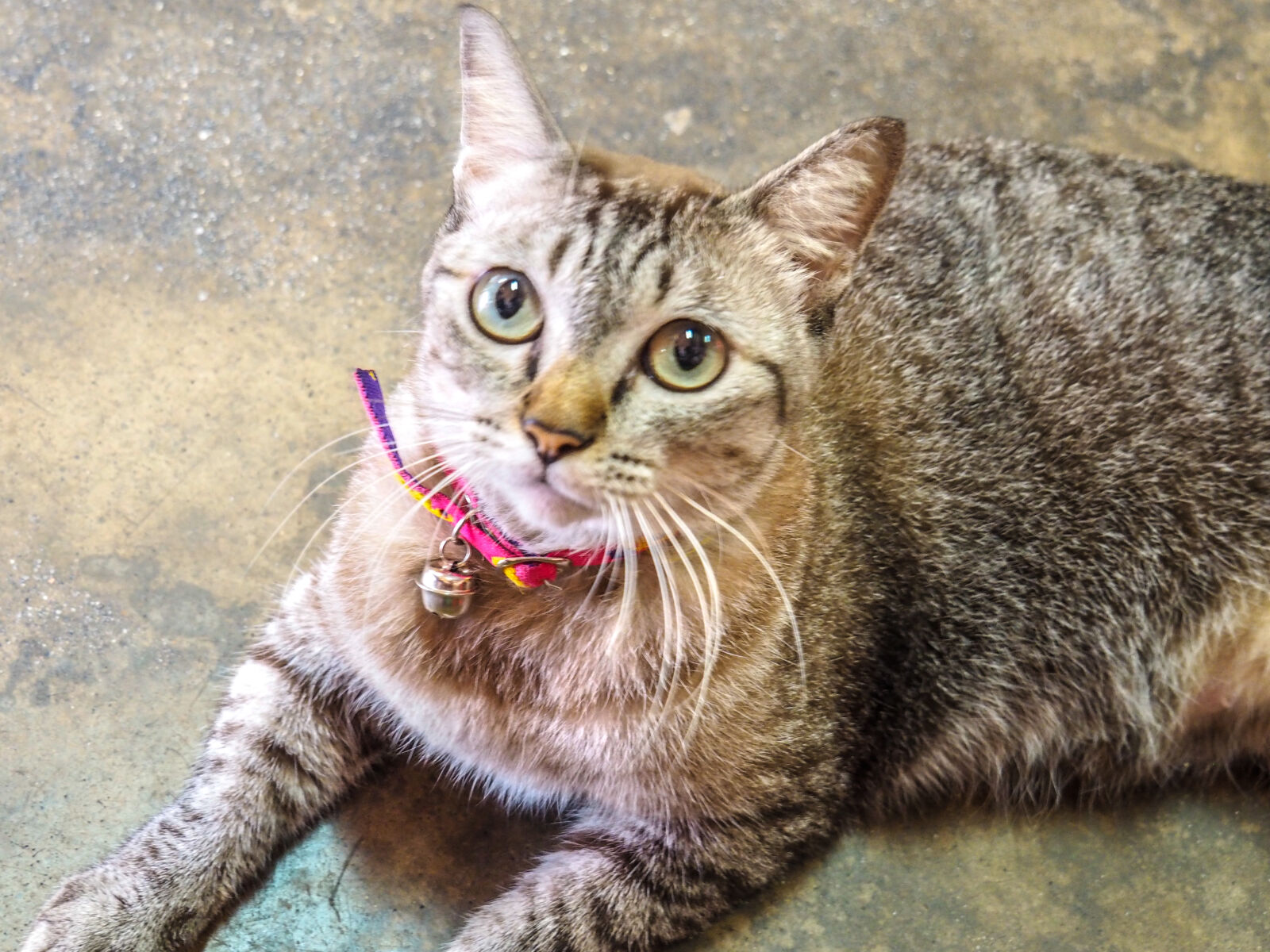 Olympus OM-D E-M10 II sample photo