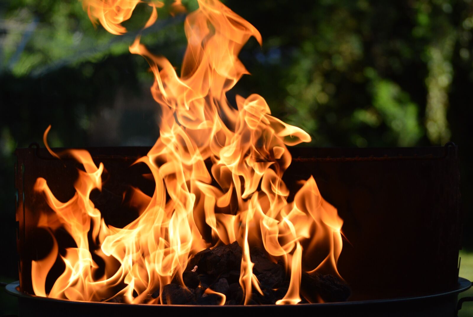 Nikon D3200 sample photo. Fire, grill, flame photography