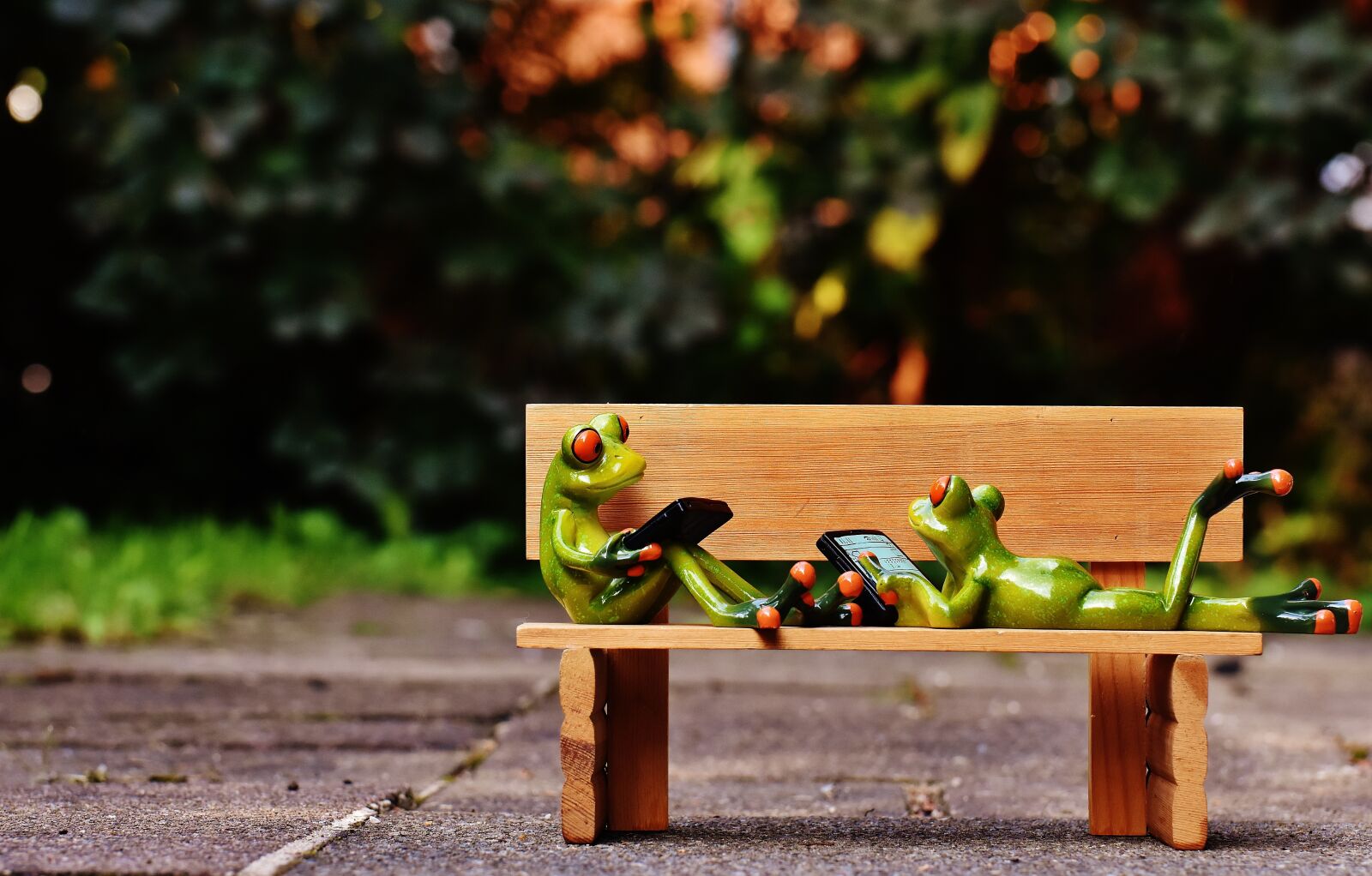 Nikon D7200 sample photo. Frogs, computer, bank photography