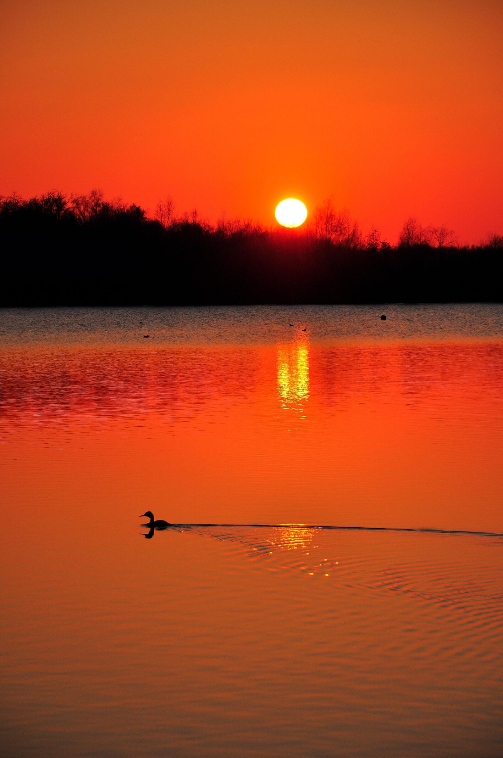 Nikon D90 sample photo. Sunset, water, evening photography