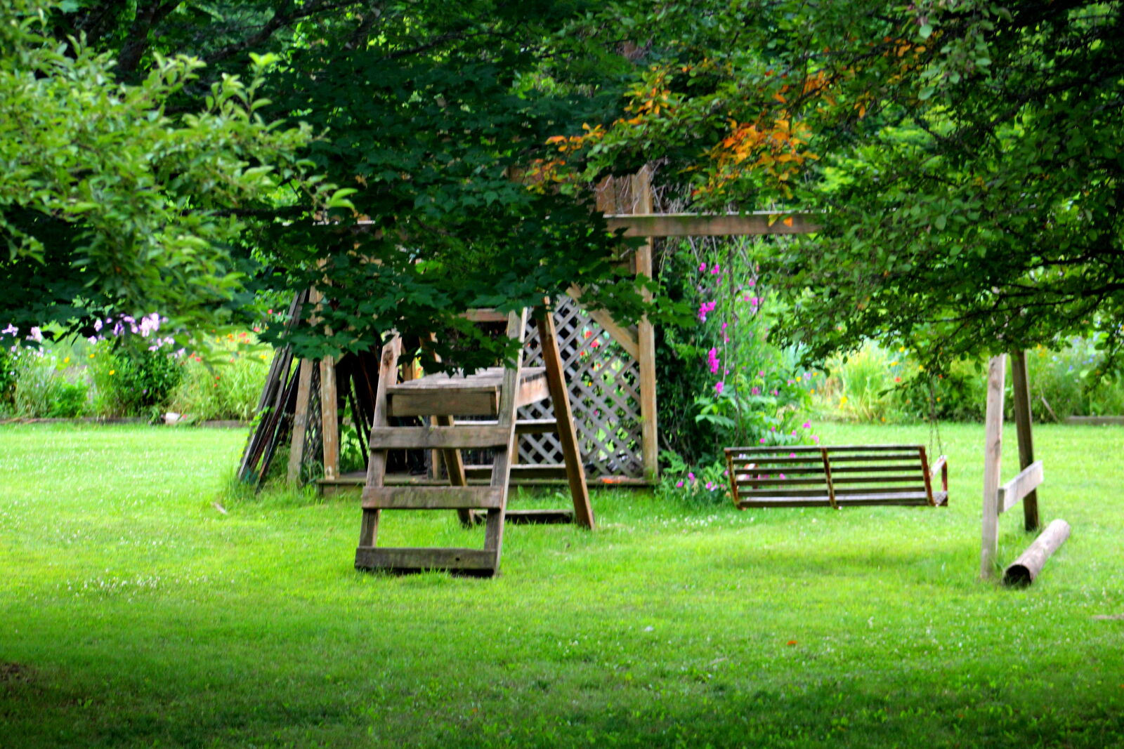 Canon EF 75-300mm f/4-5.6 sample photo. Green, swing photography