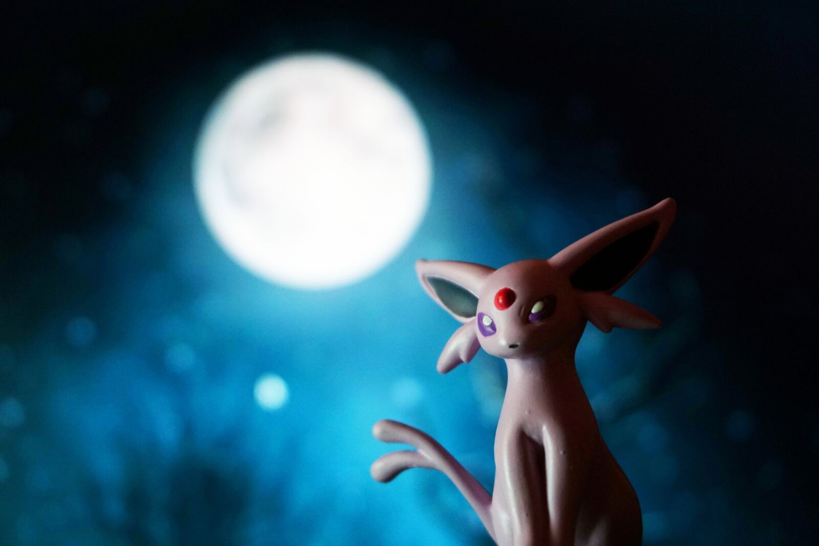 Sony a6000 sample photo. Toys, pokemon, moon photography