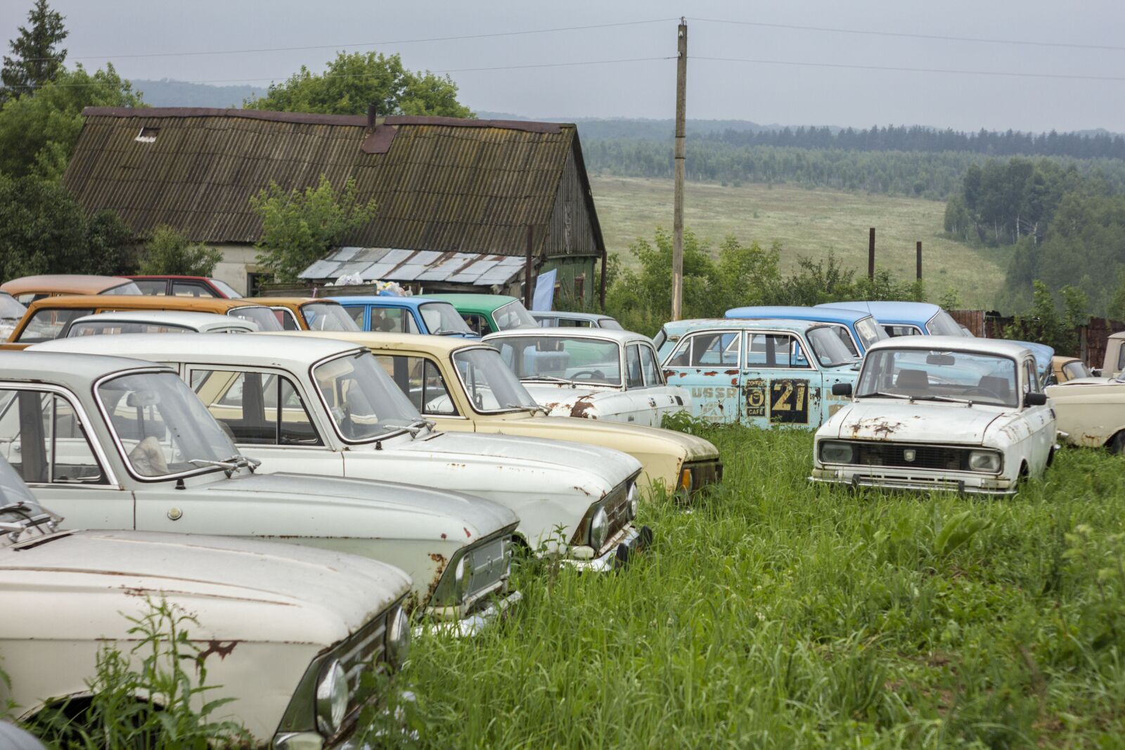 Canon EOS 550D (EOS Rebel T2i / EOS Kiss X4) sample photo. Cars, museum, field photography