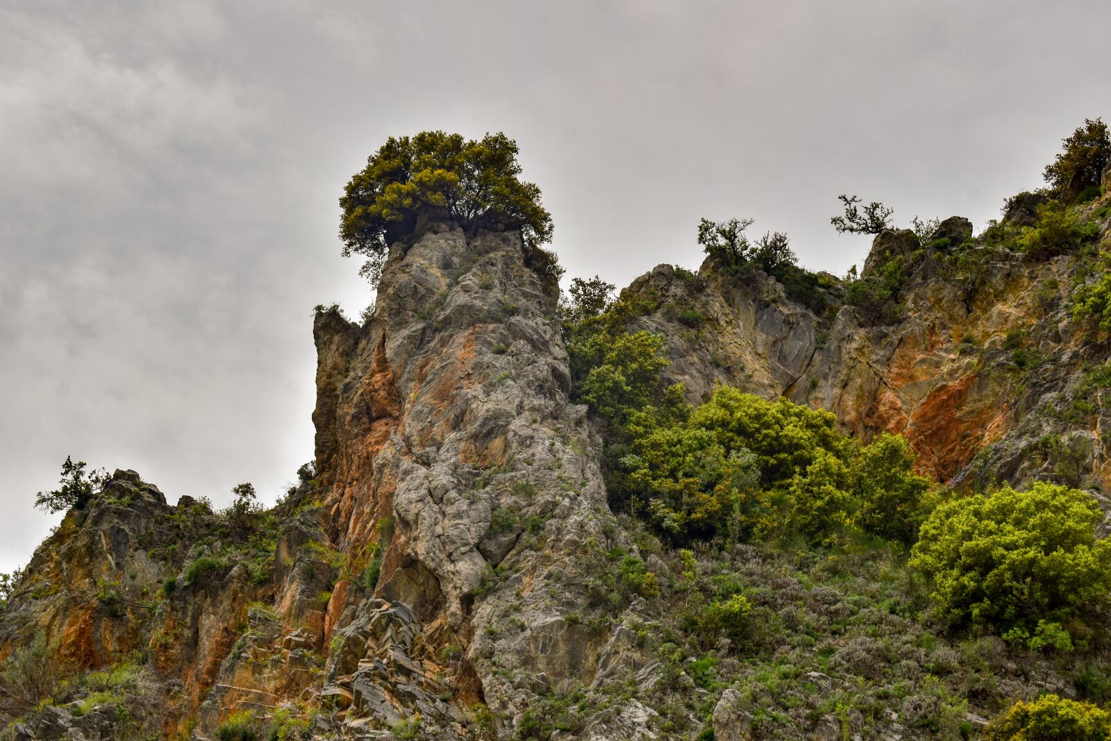 Nikon D3300 sample photo. Cliff, rock, trees photography