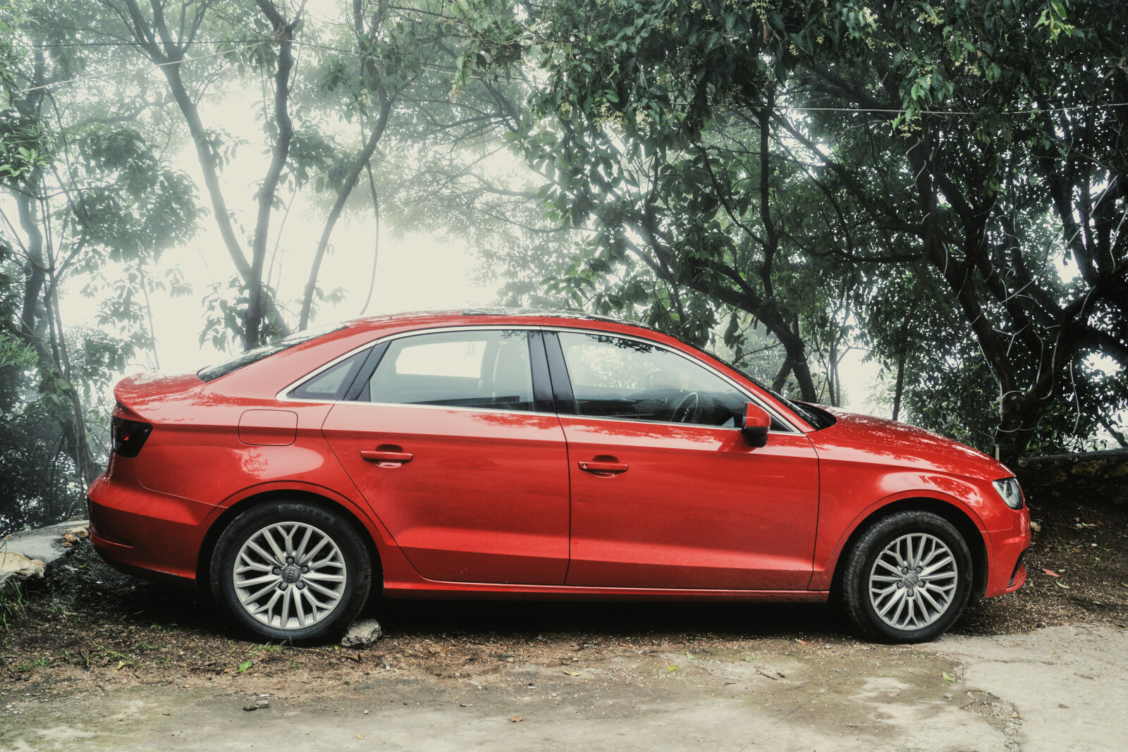 Nikon D5200 sample photo. Red, sedan, near, green photography