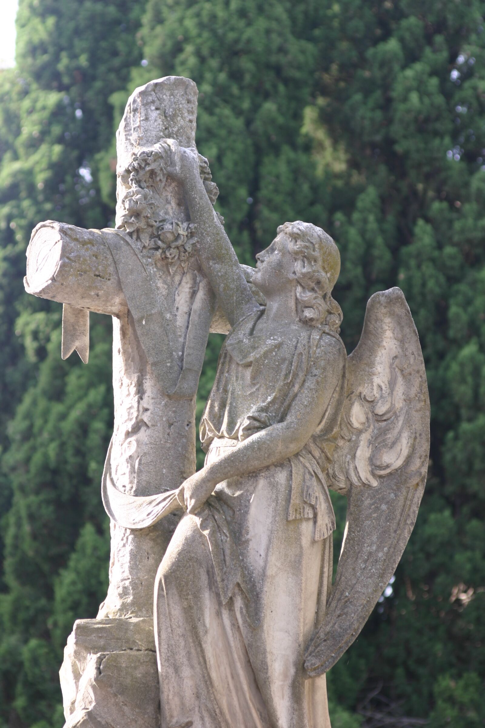 Canon EOS 300D (EOS Digital Rebel / EOS Kiss Digital) sample photo. Angel with cross, cemetery photography