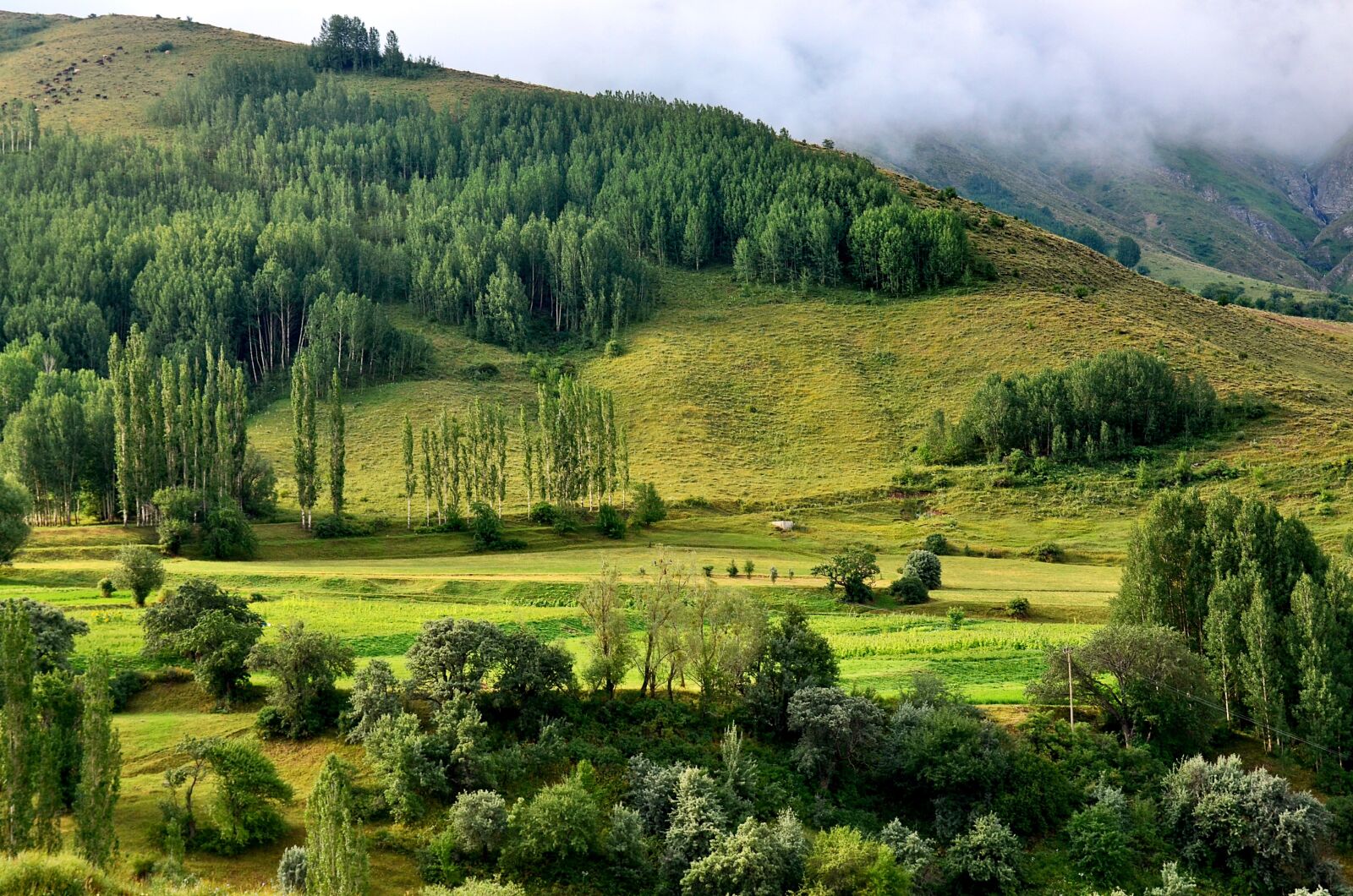 Nikon D5100 sample photo. Nature, landscape, kaçkars photography