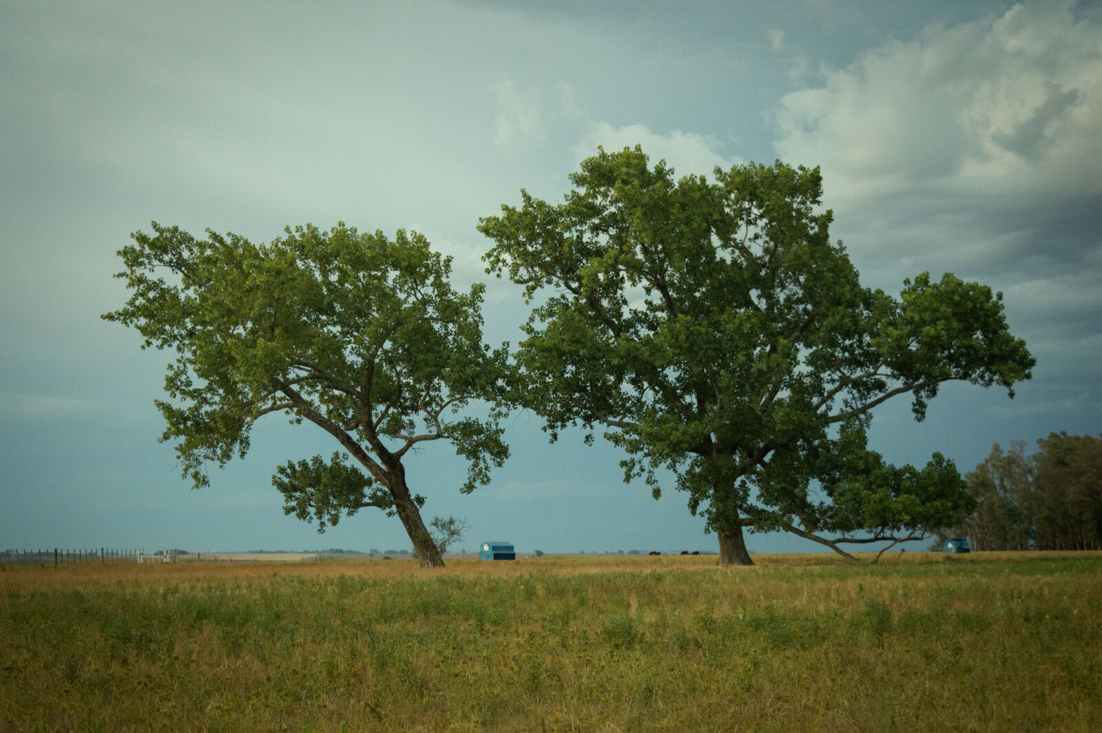 Nikon D3200 sample photo. Old, photo, photo, two photography