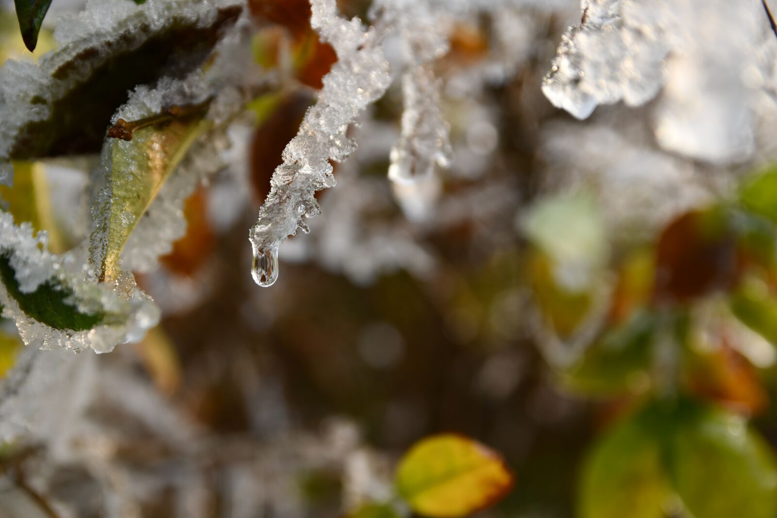 Nikon D7500 sample photo. Thaw, ice, drop photography