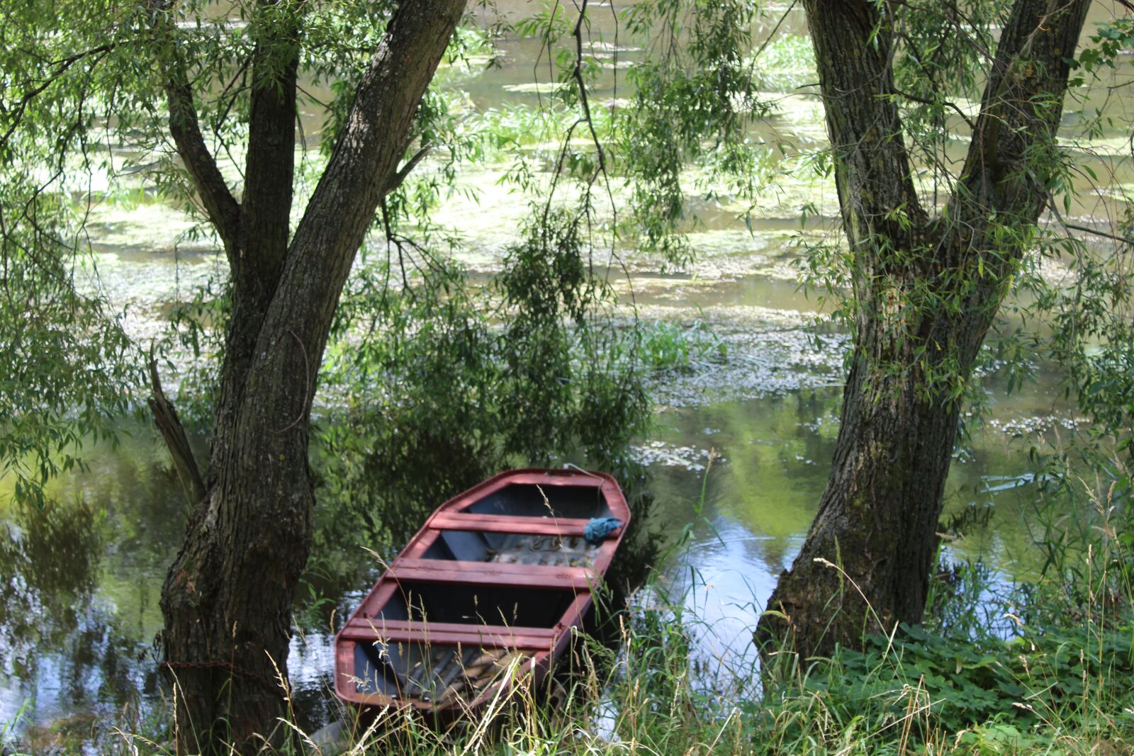 Canon EOS 4000D (EOS Rebel T100 / EOS 3000D) sample photo. Punts, rowboat, trees photography
