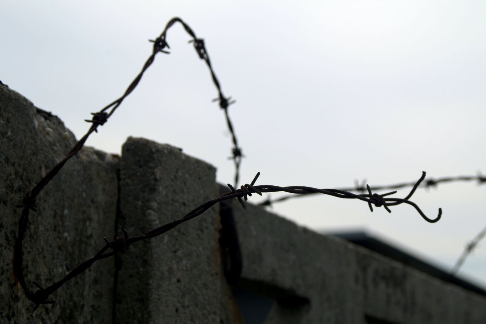 Pentax K-S2 sample photo. Barbed wire, the closure photography