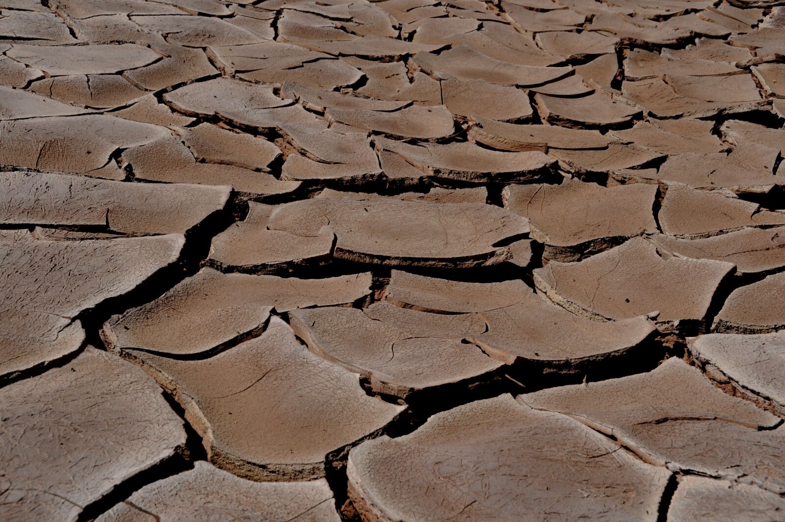 Nikon D90 sample photo. Ground, dryness, desert photography